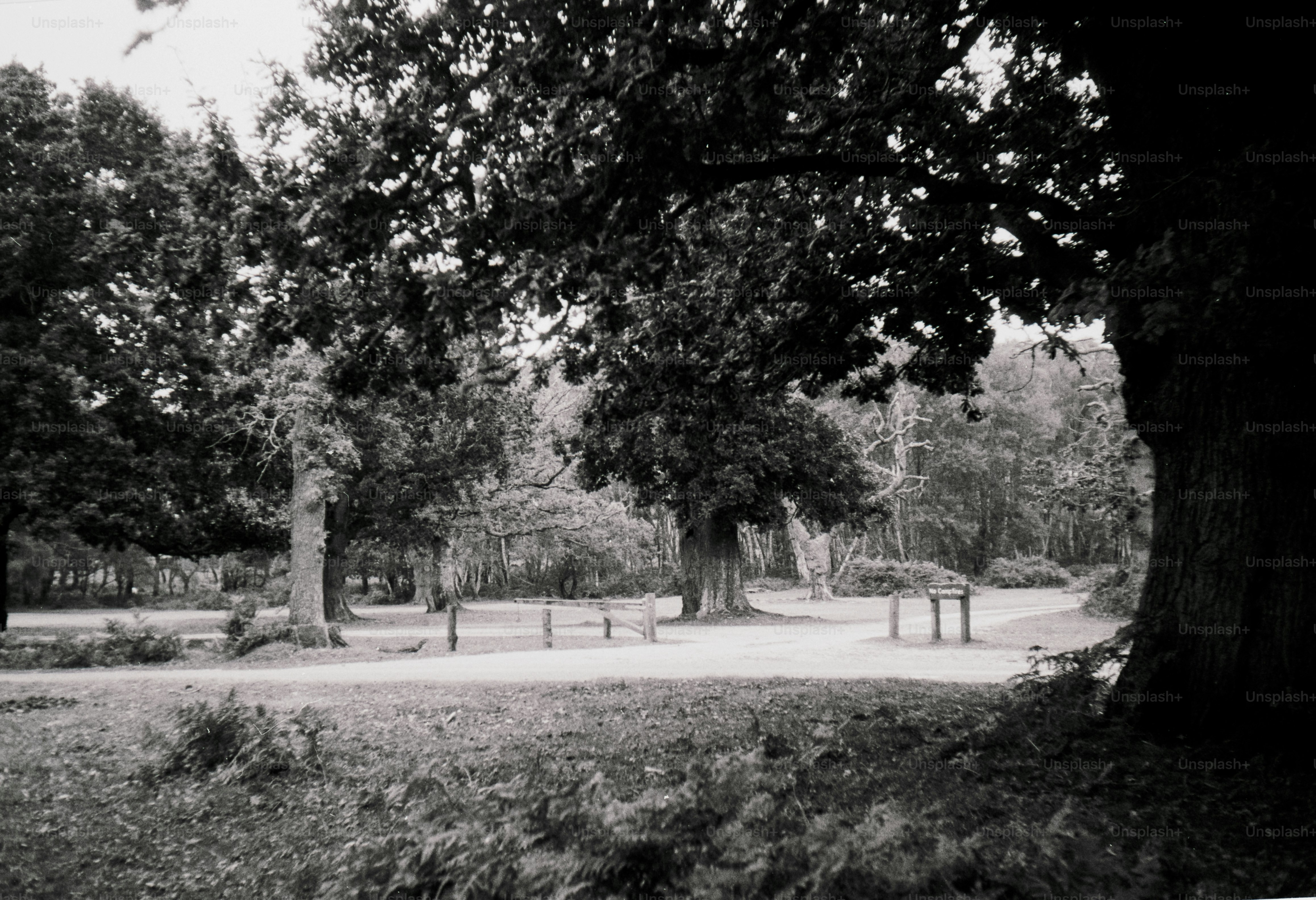 A black and white photo of a park