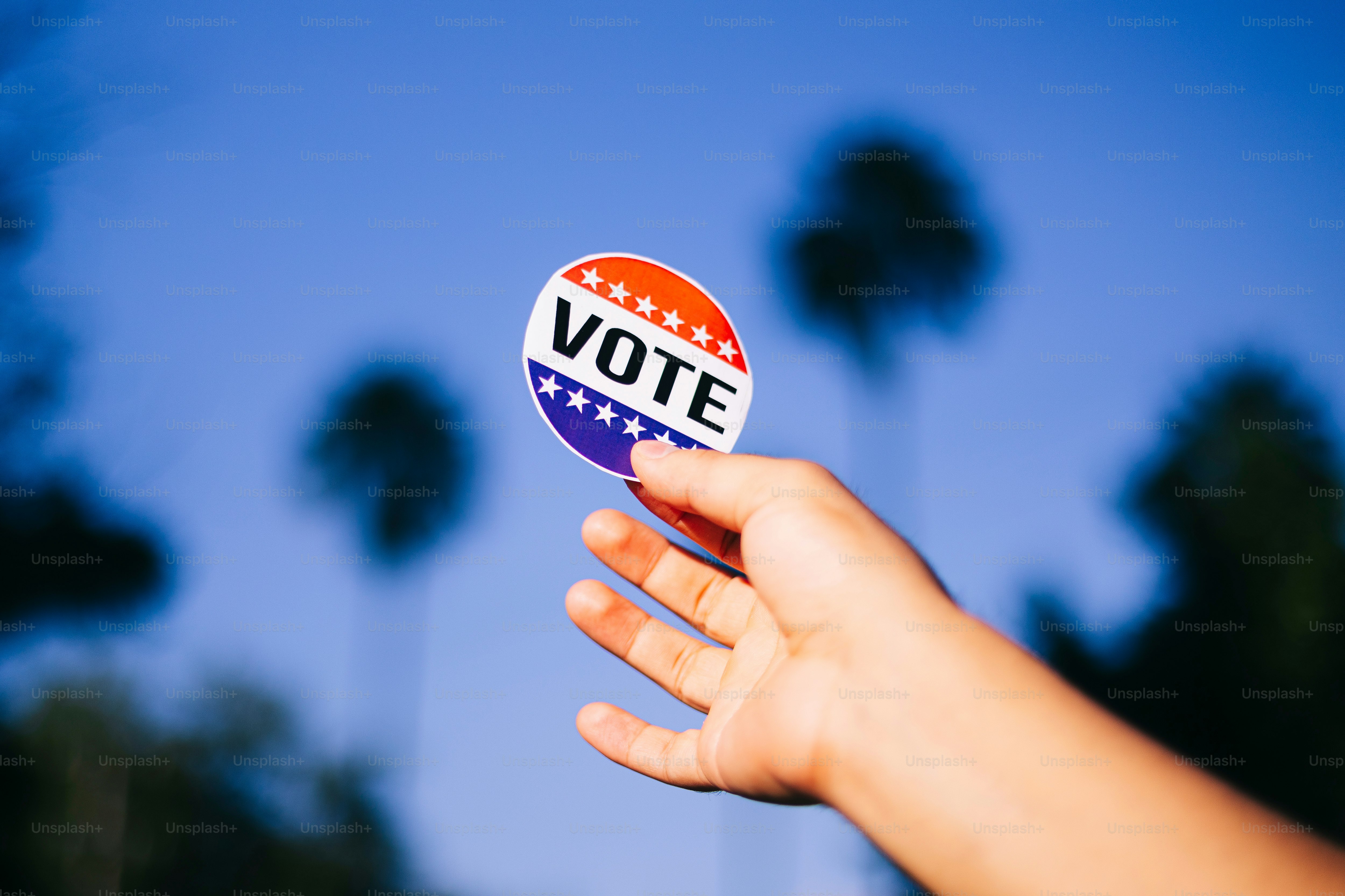 A hand holding a vote button with palm trees in the background