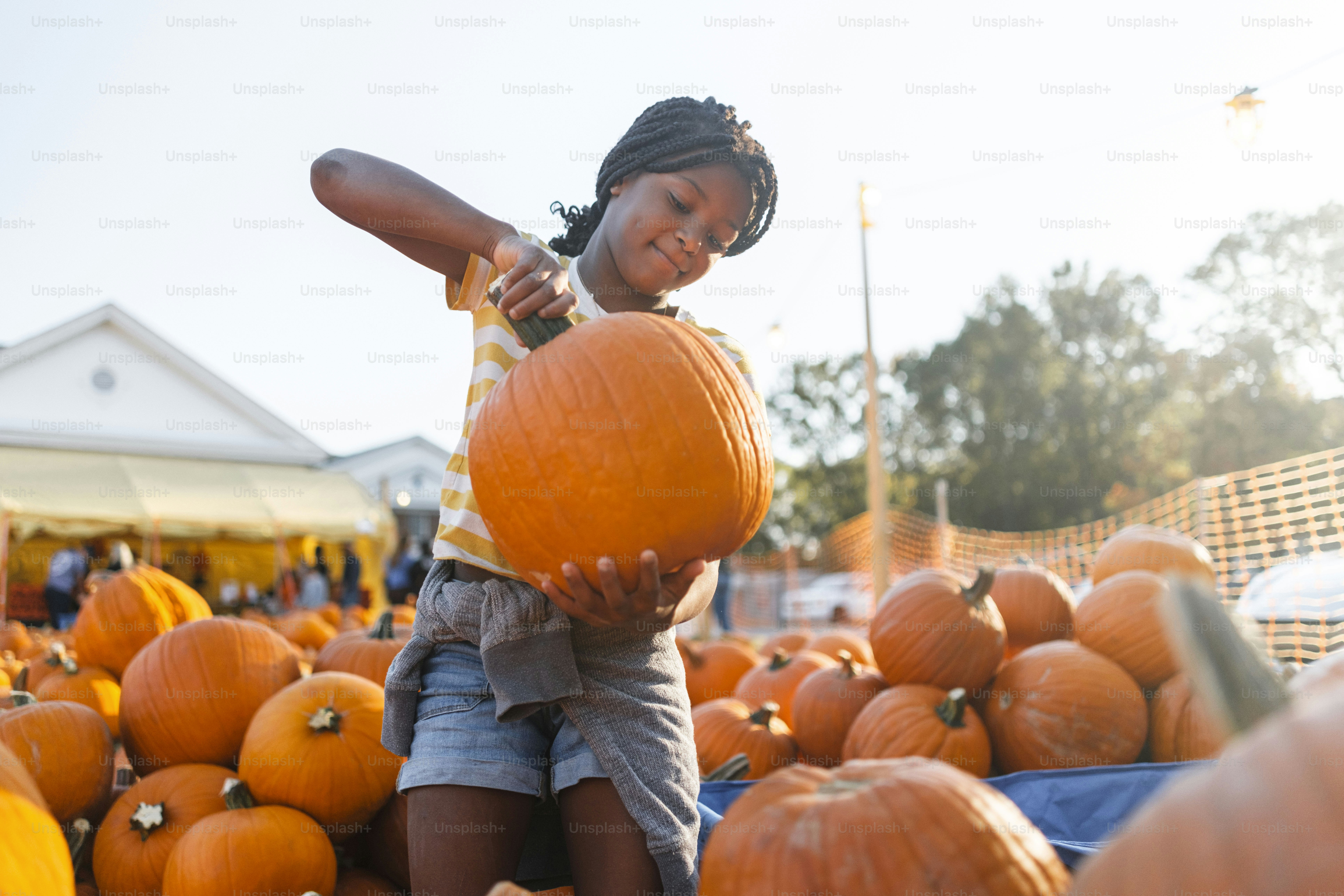 A young girl holding a large pumpkin in a pumpkin patch