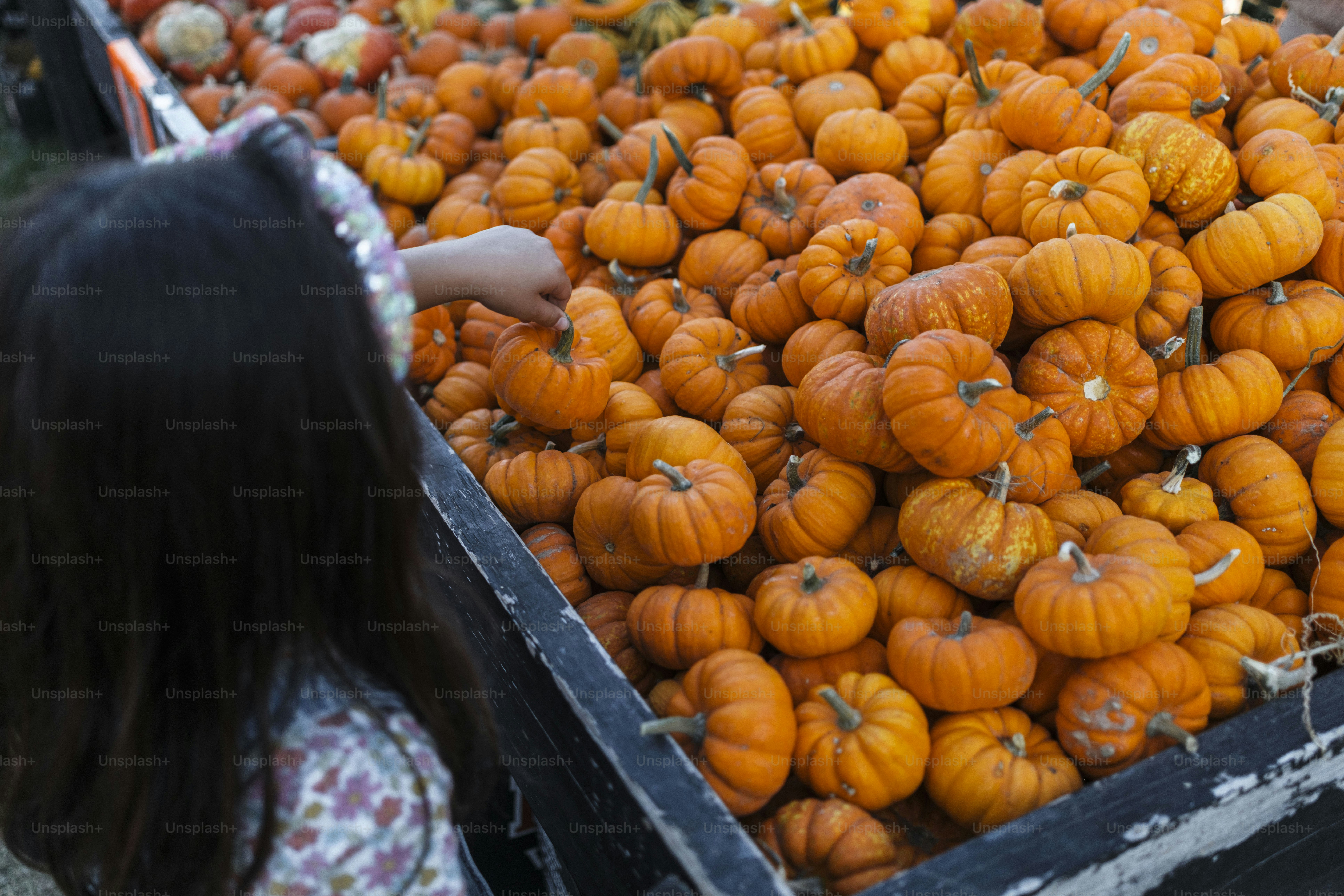 A little girl standing next to a pile of pumpkins photo – Girl Image on ...