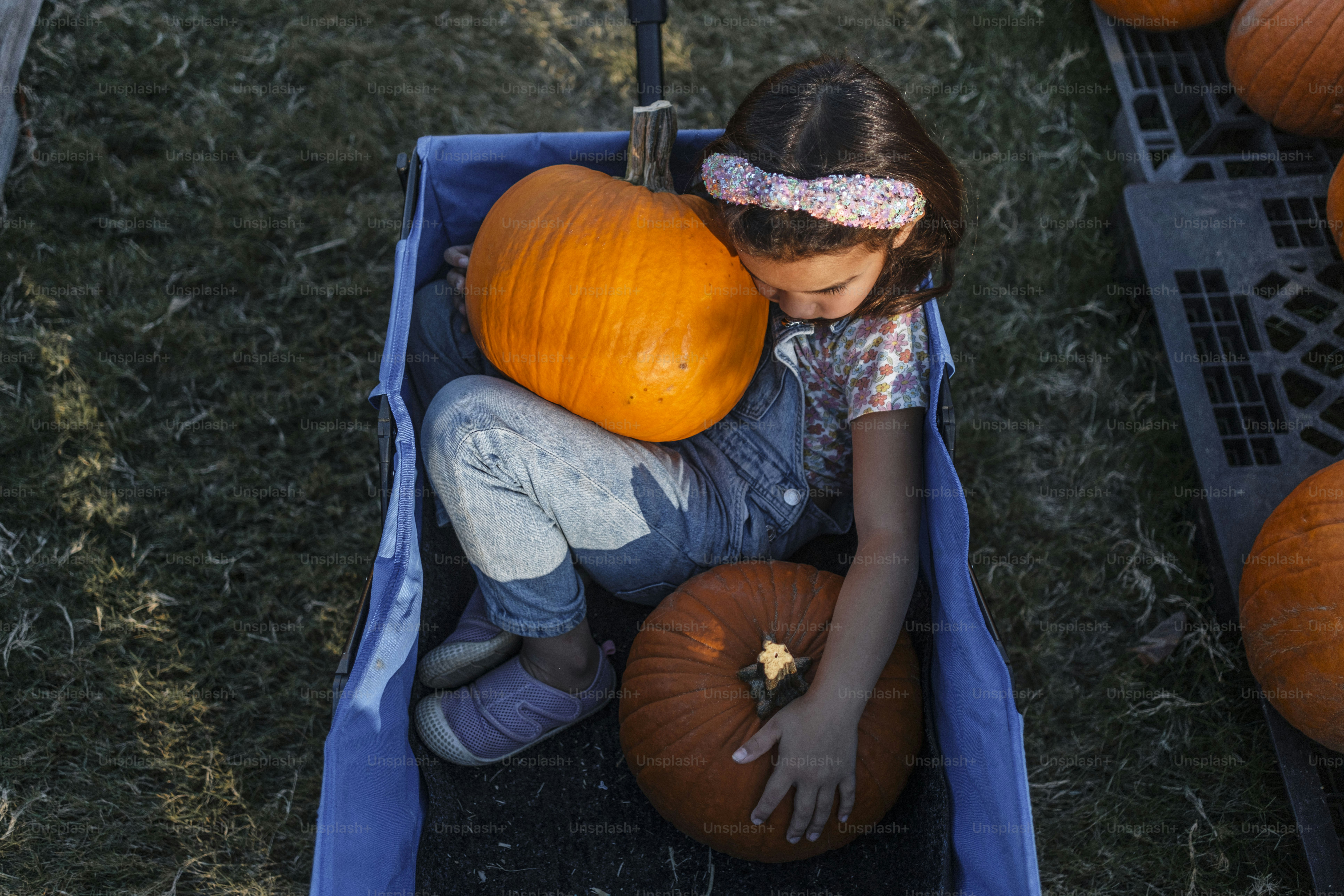 A little girl sitting in a blue wagon filled with pumpkins