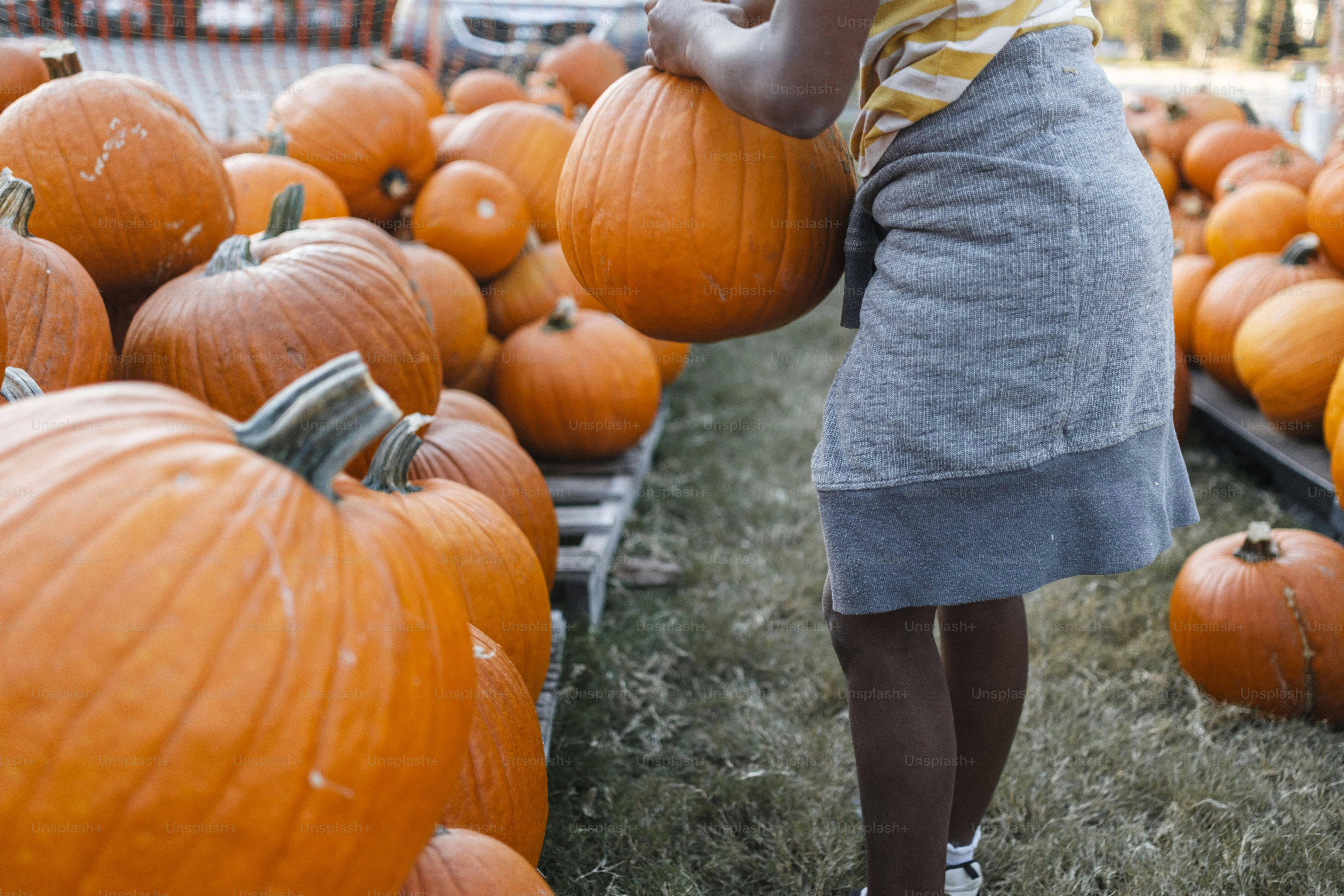 A little girl standing in front of a pile of pumpkins photo – Pumpkin ...