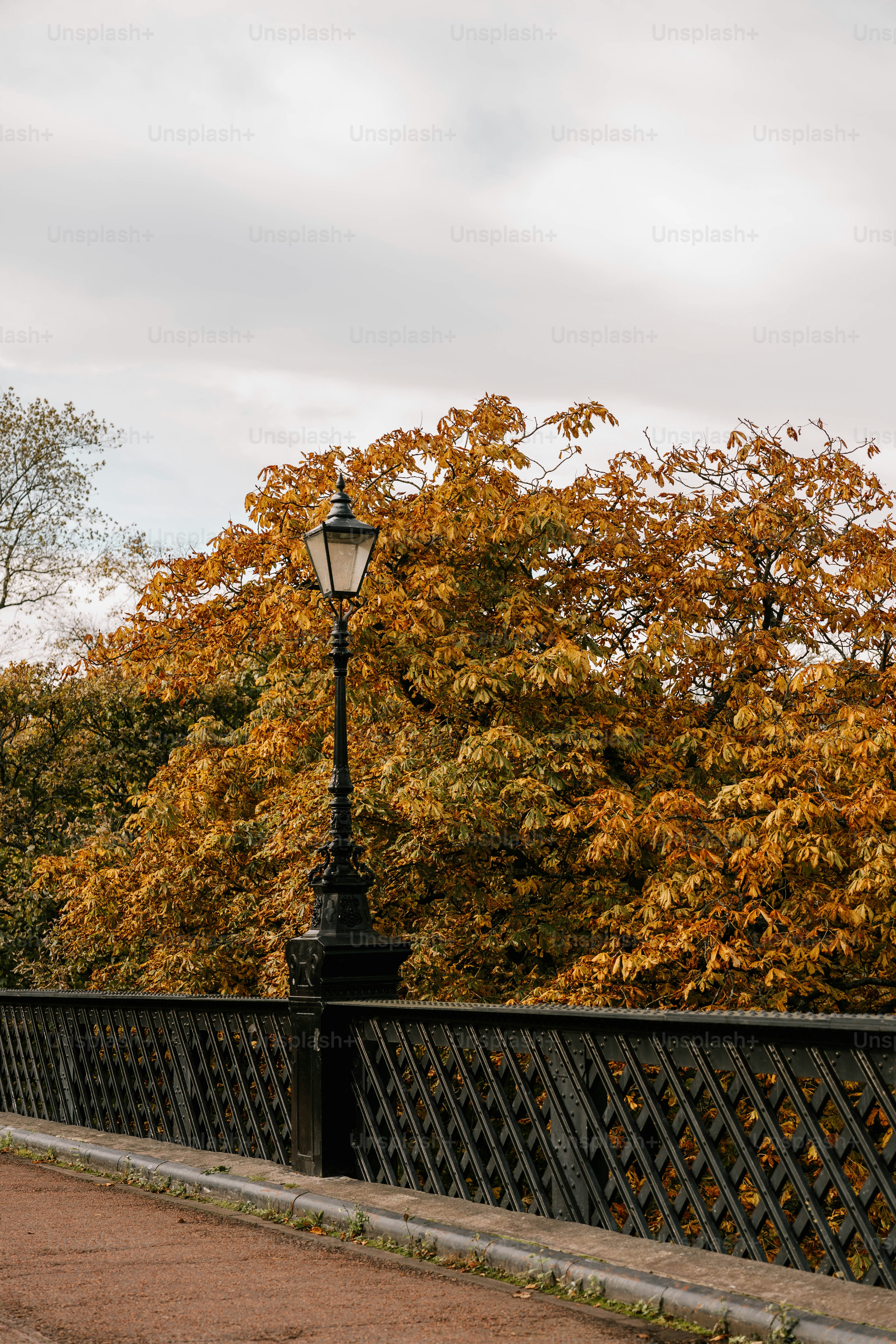 A person walking down a bridge in the fall