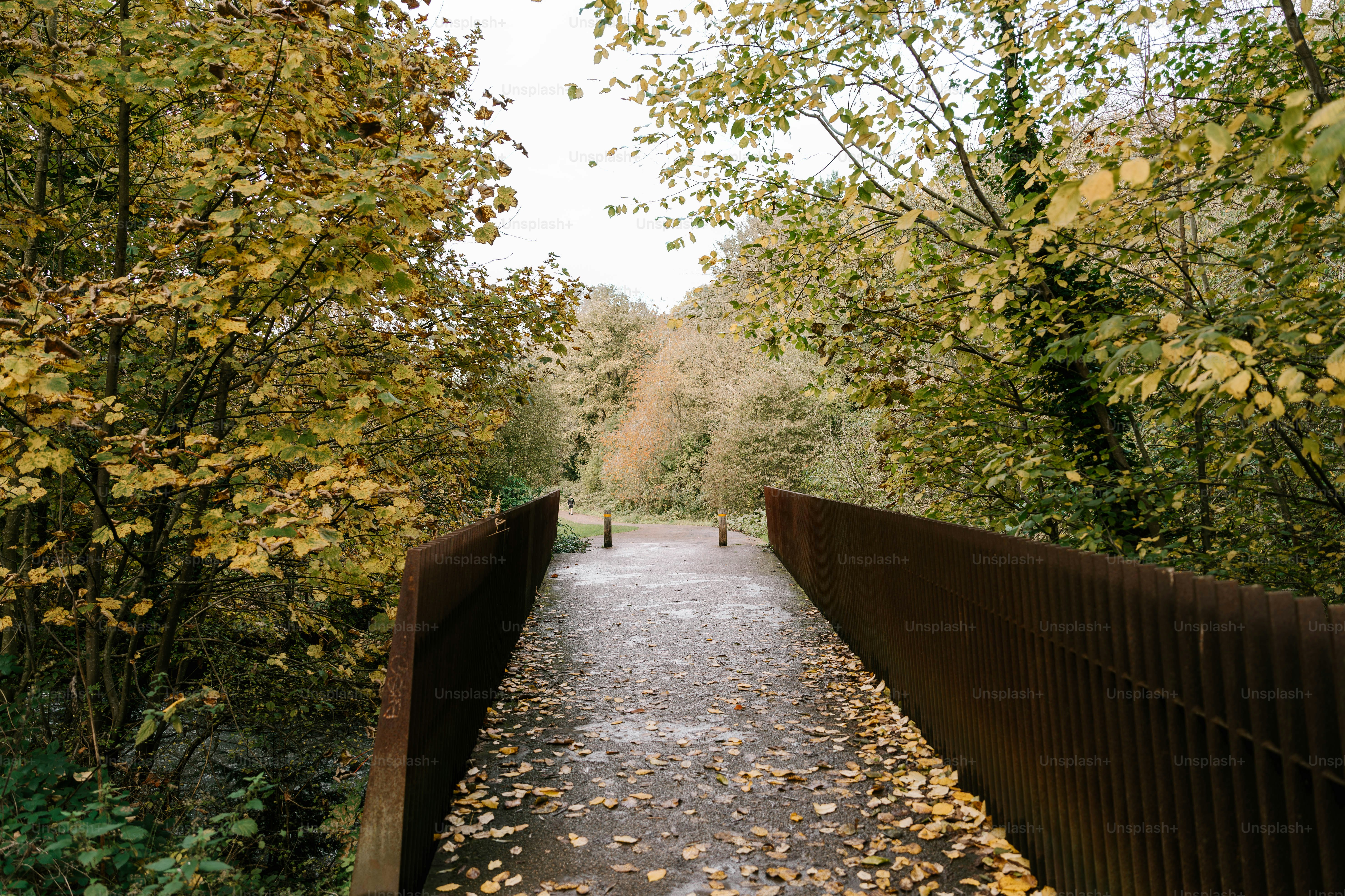 A person walking across a bridge surrounded by trees
