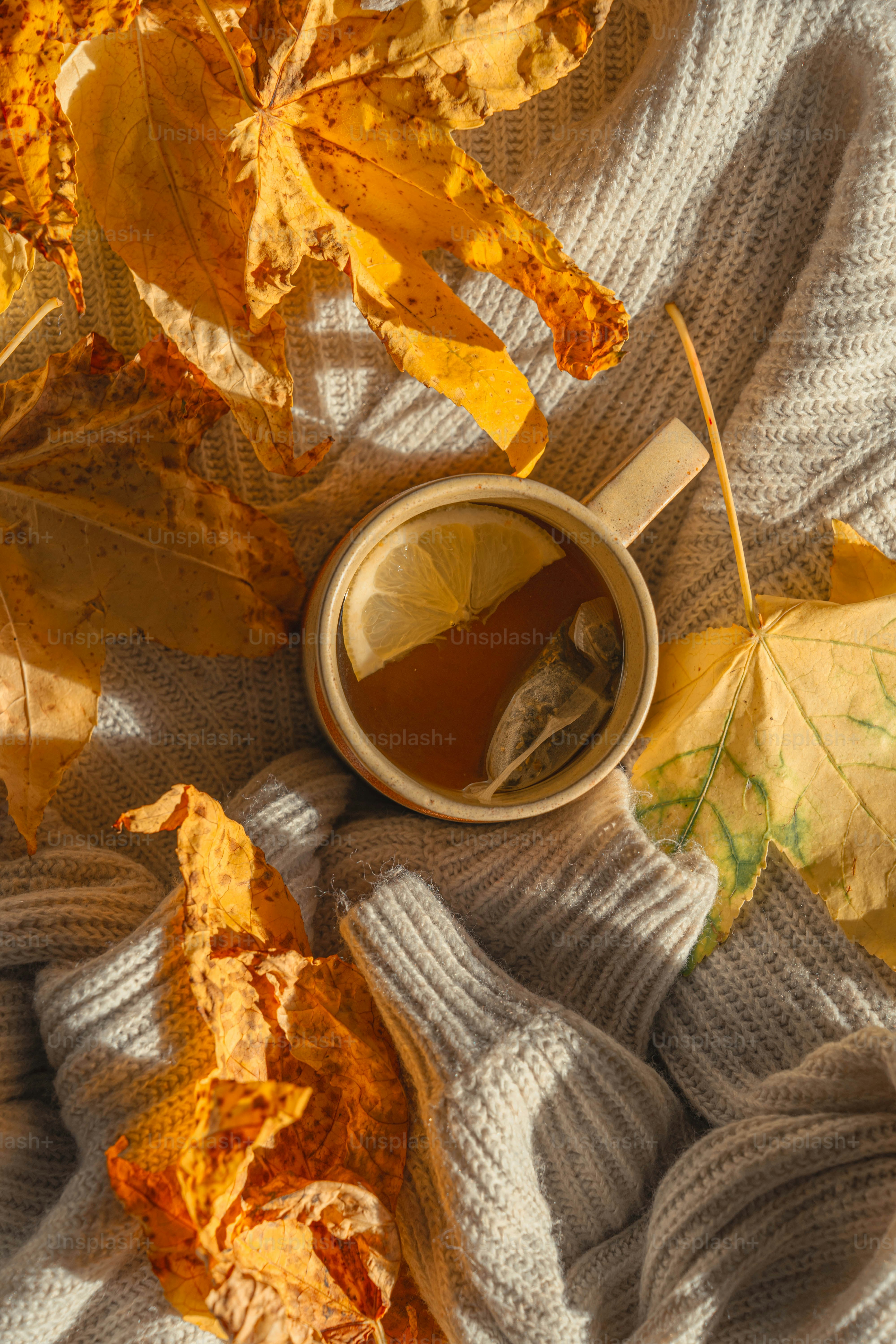 Una taza de té y unas hojas en una manta