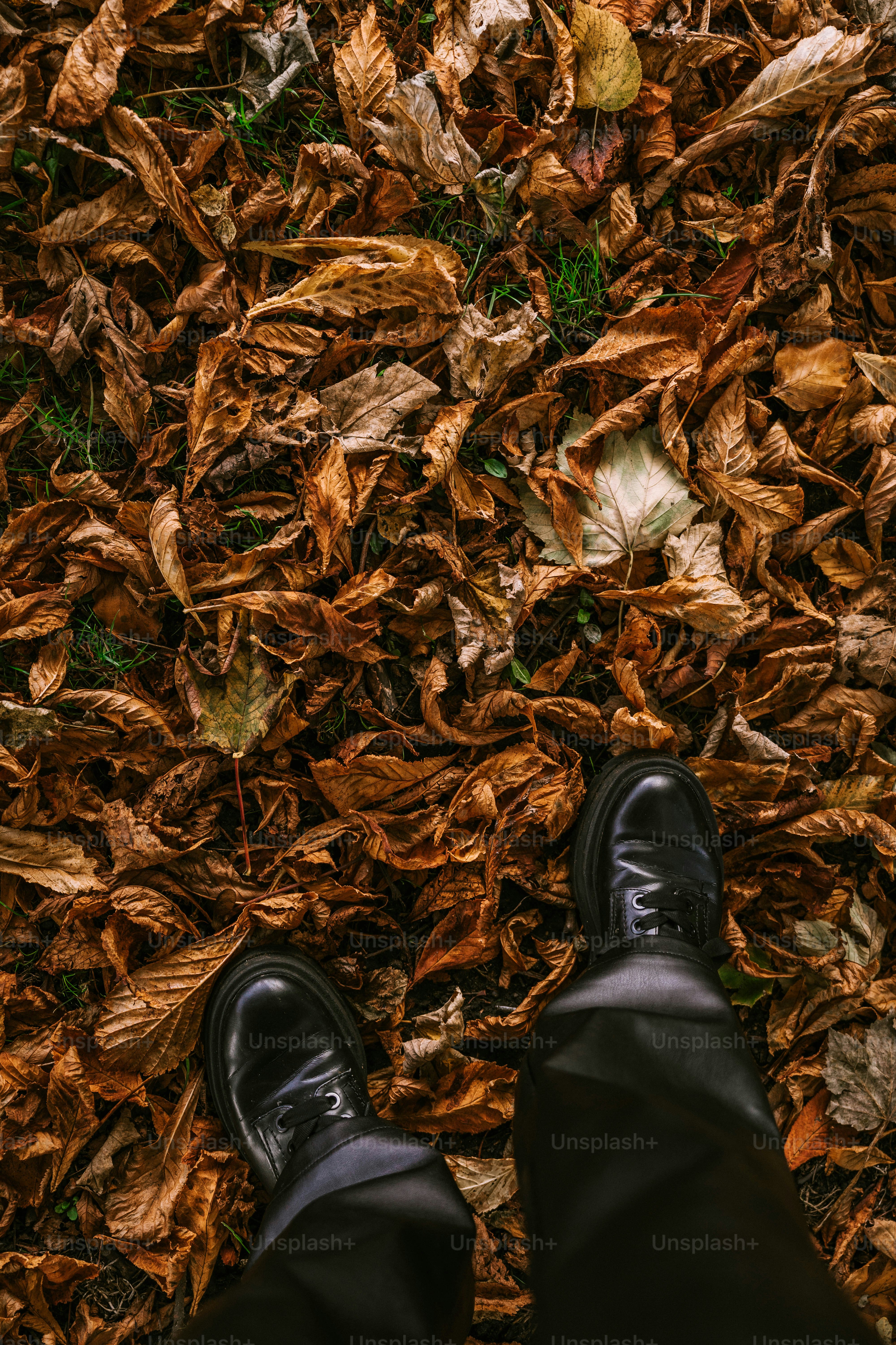 A person standing in a pile of leaves