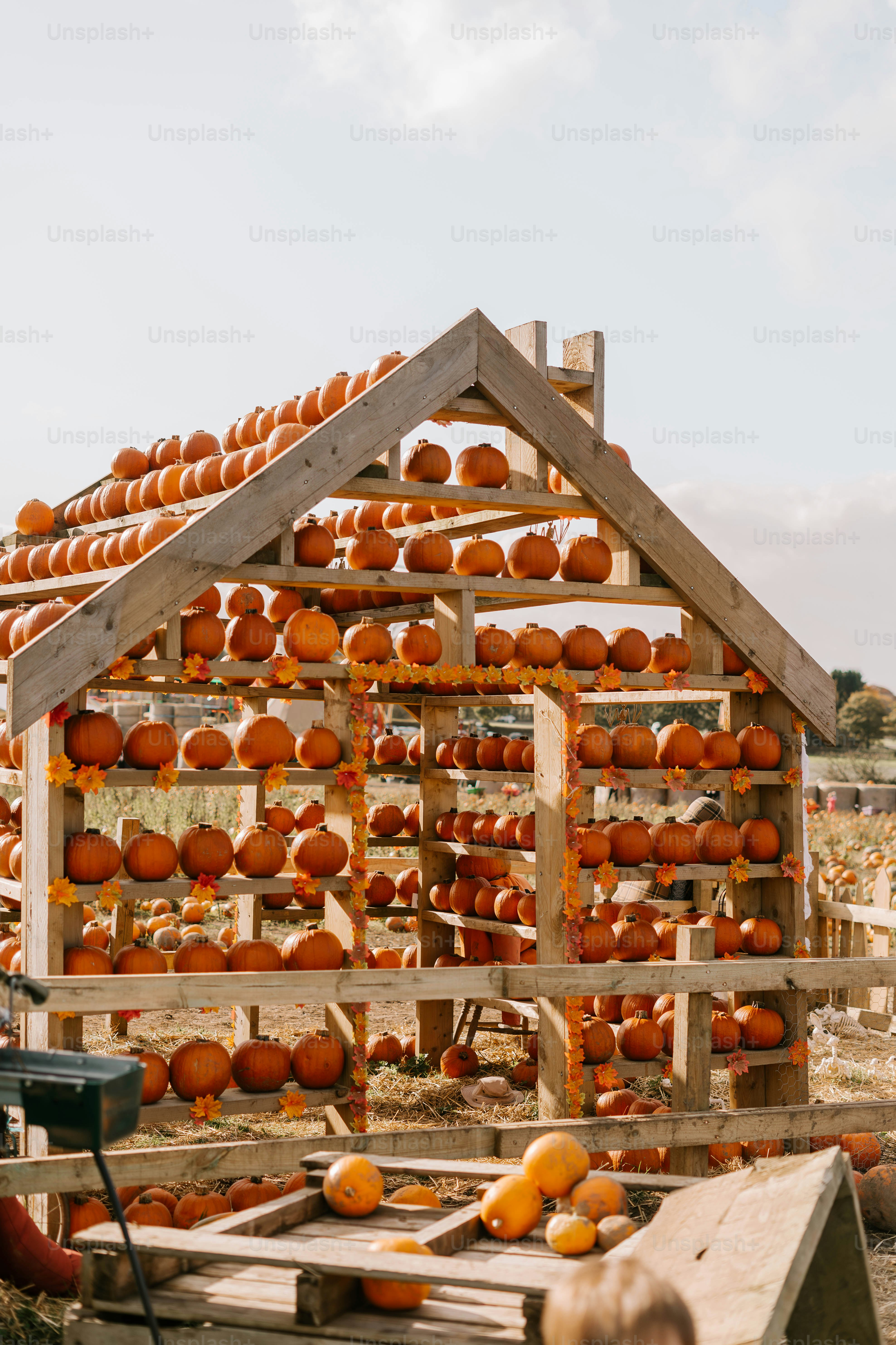Una pequeña casa hecha de calabazas en una granja