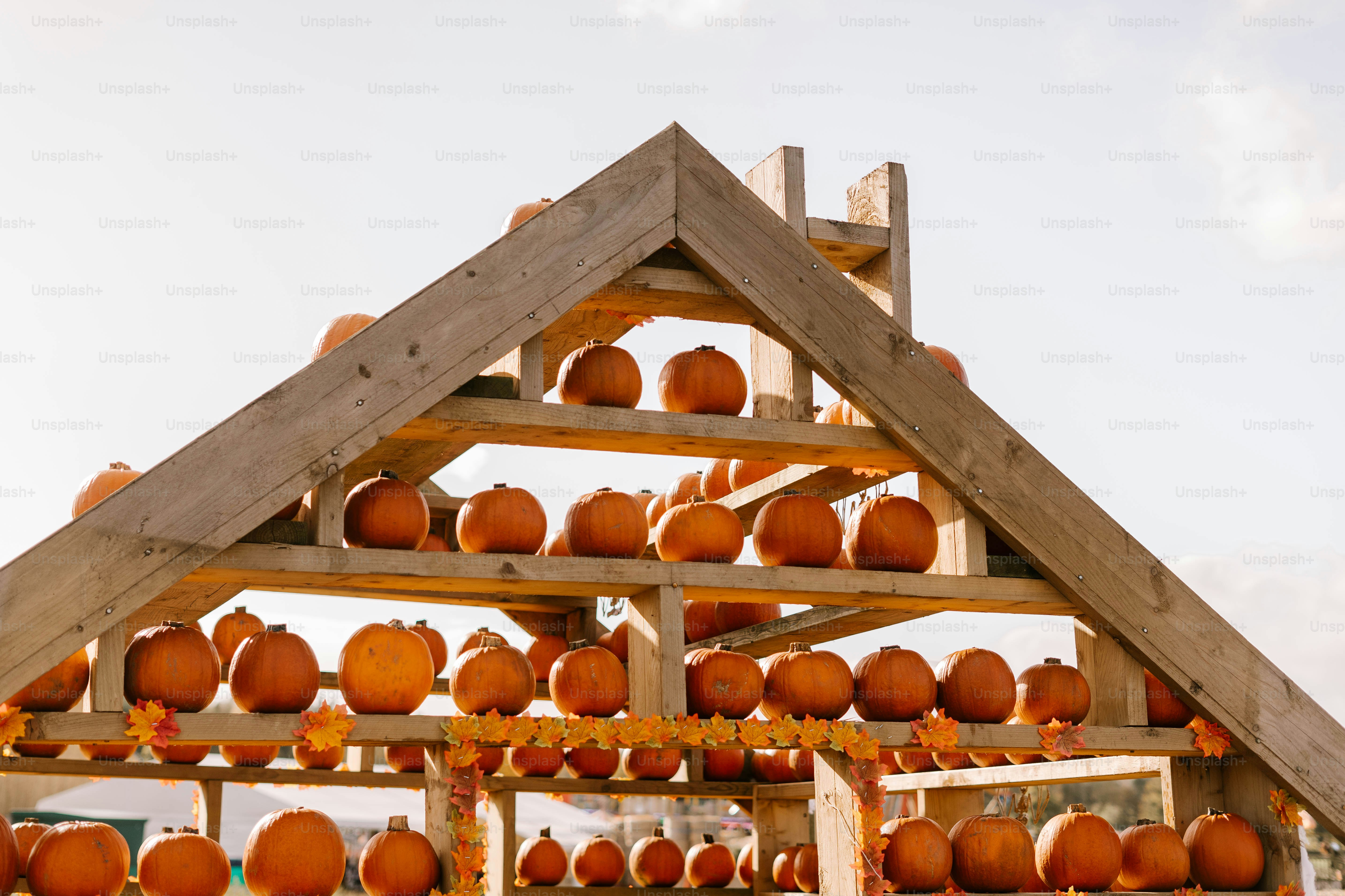 A house made out of pumpkins with a roof