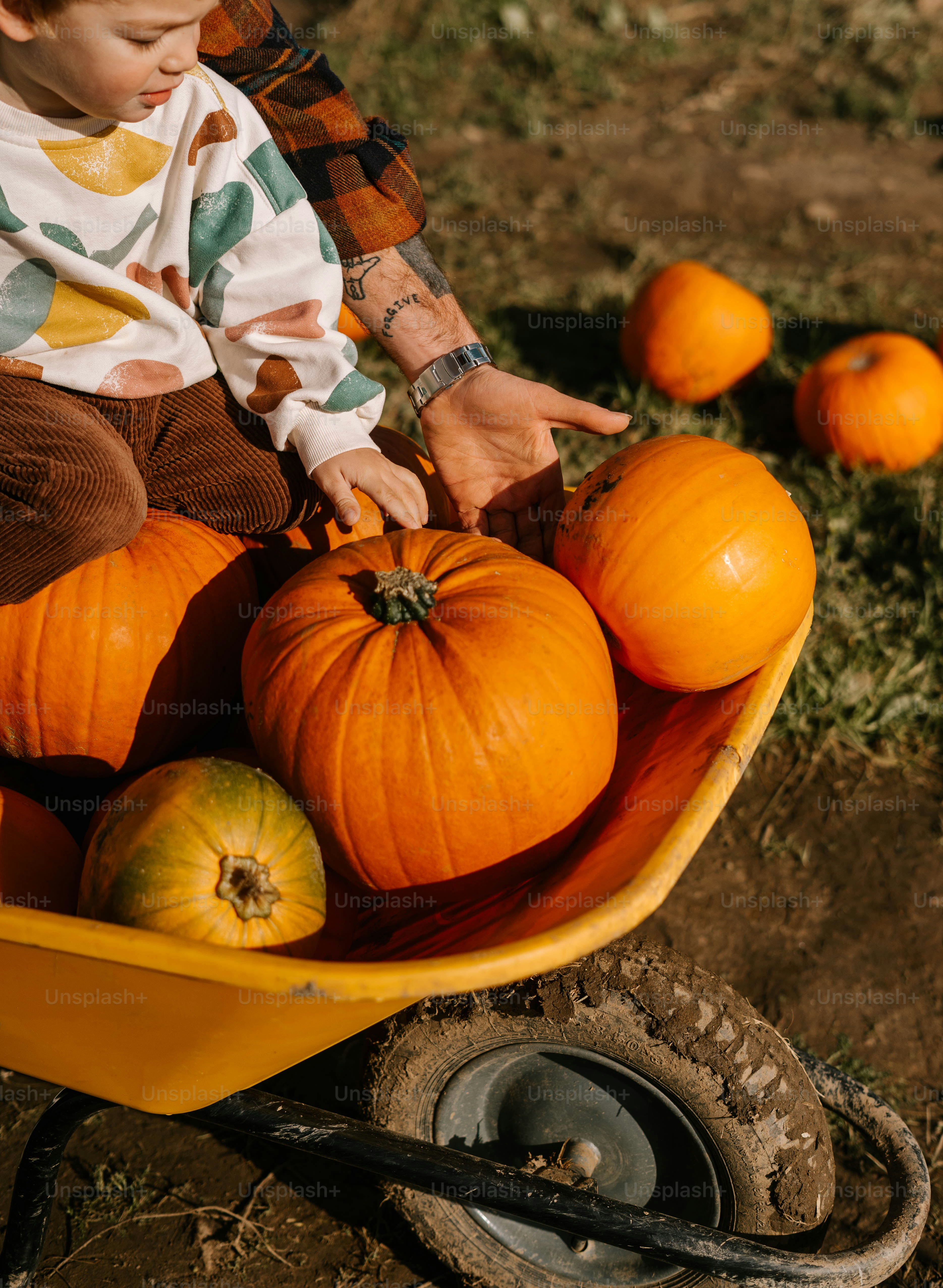 Un niño sentado en una carretilla llena de calabazas