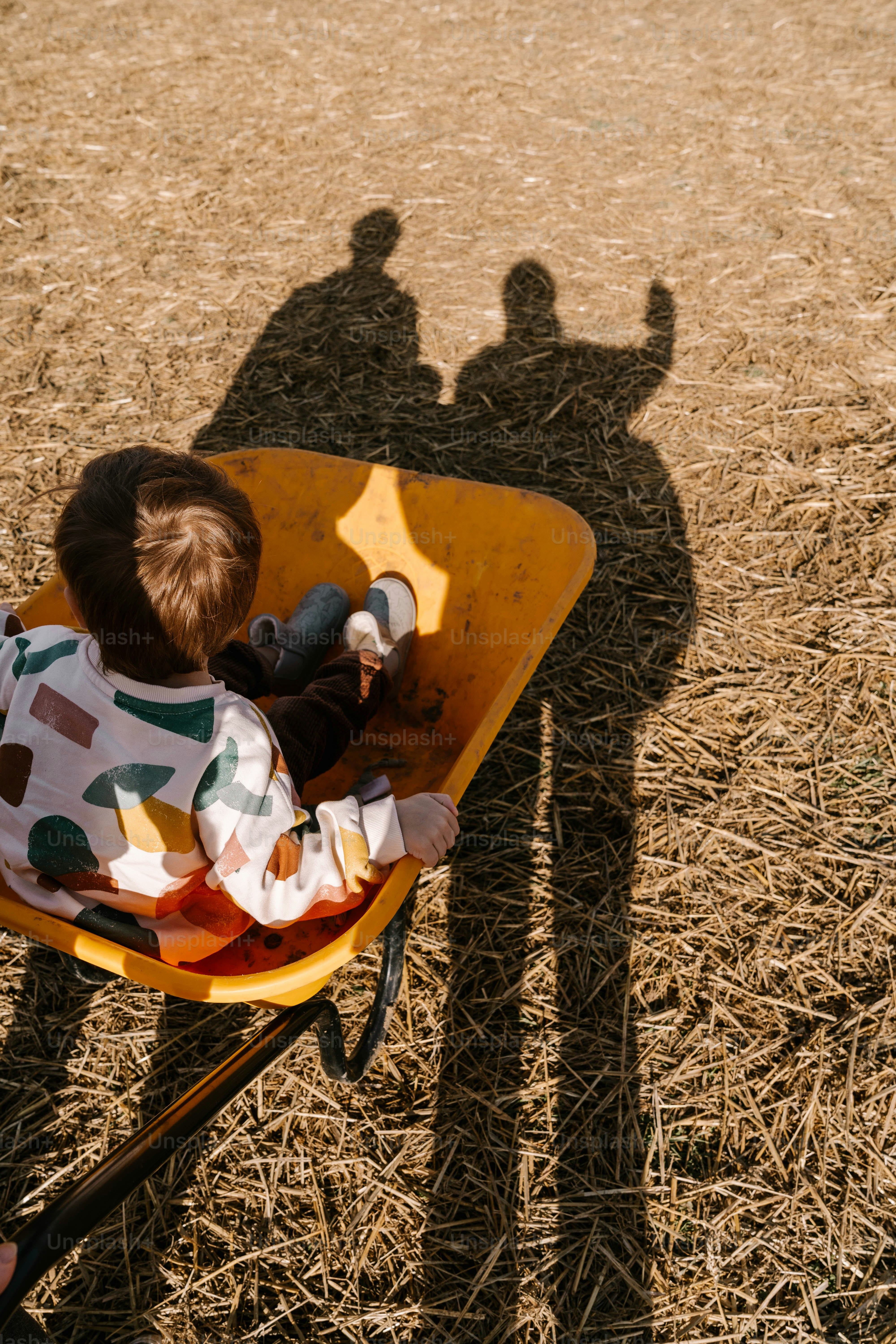Un niño sentado en una carretilla en un campo