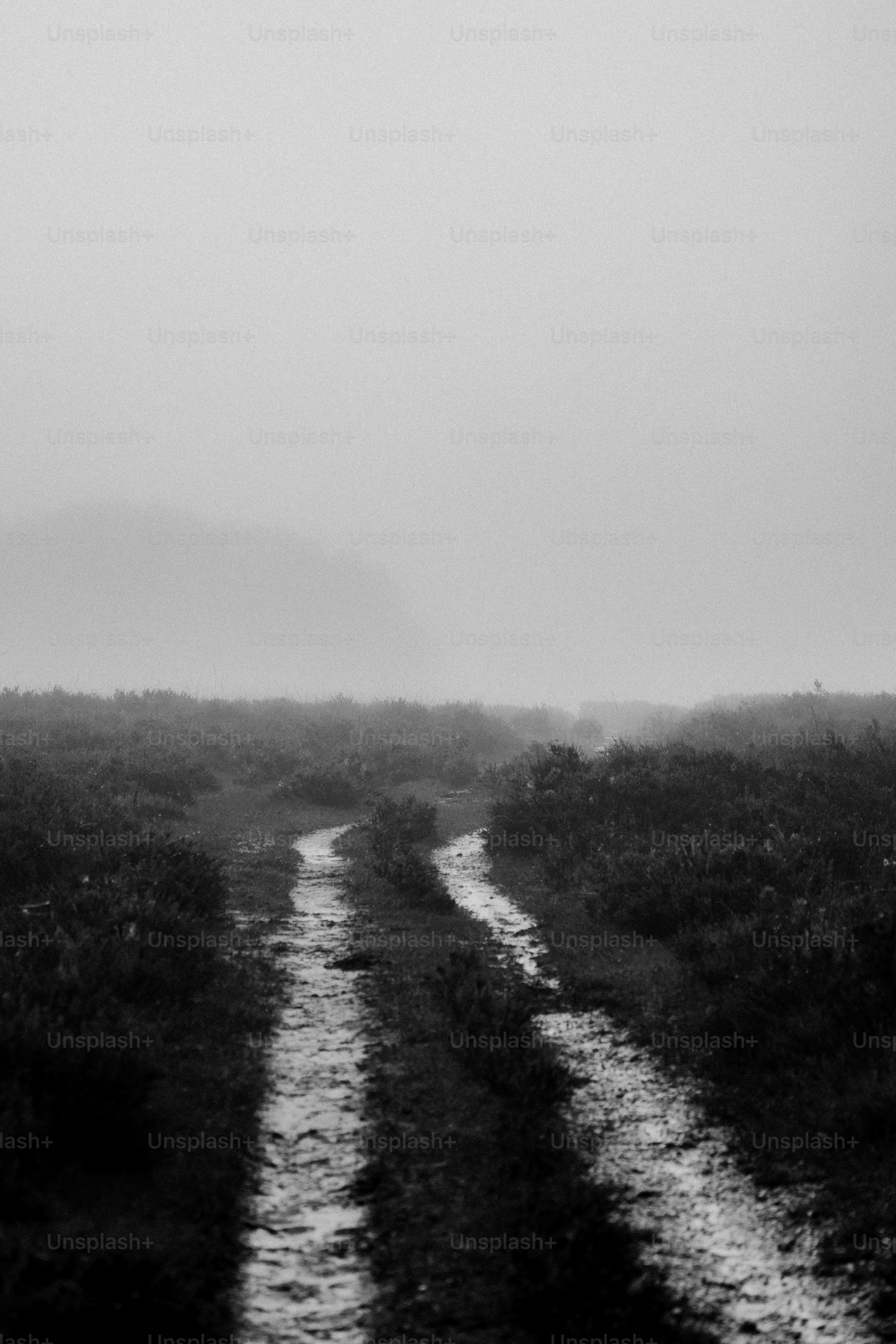 A black and white photo of a dirt road