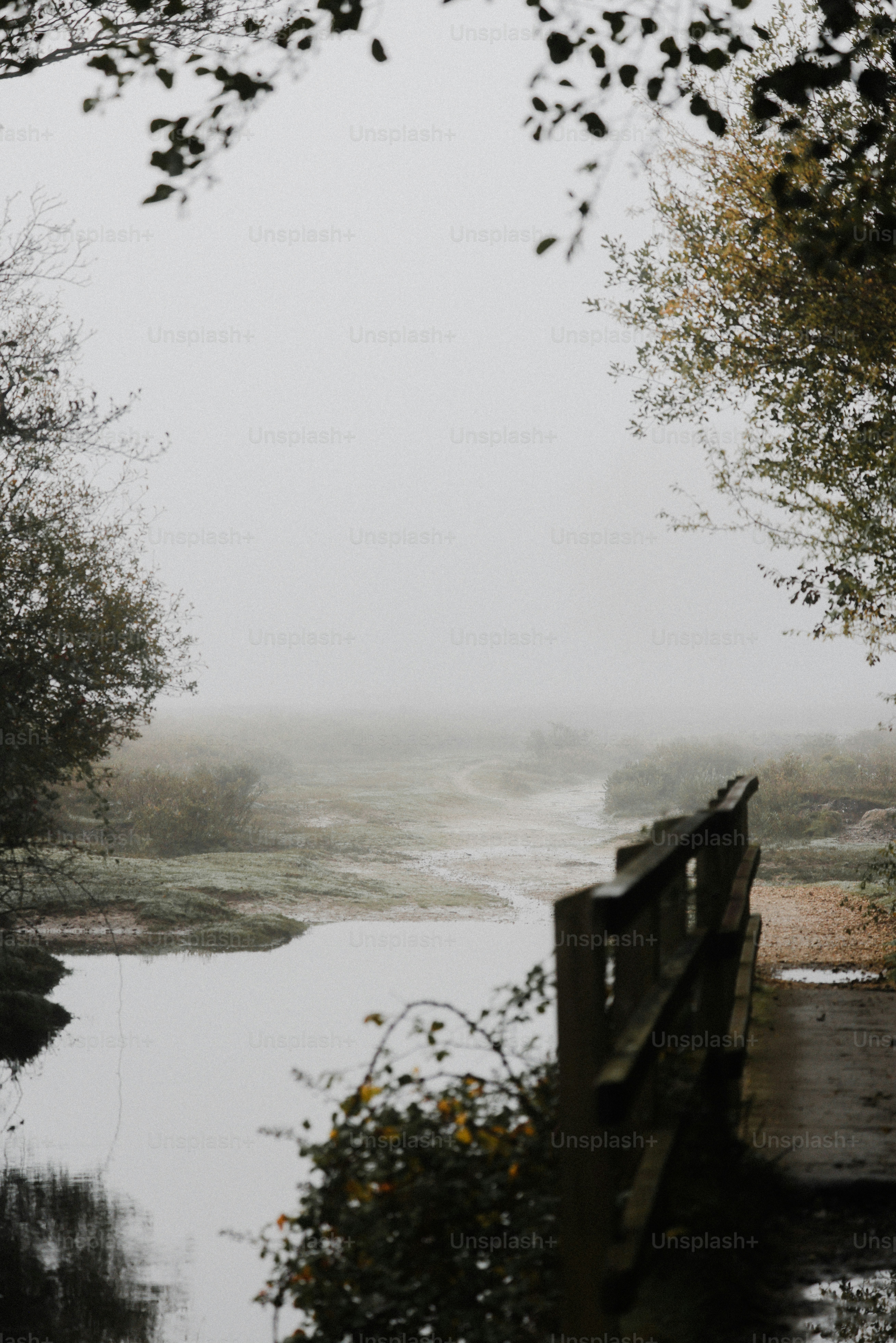 A bridge over a body of water surrounded by trees photo – Fall Image on ...
