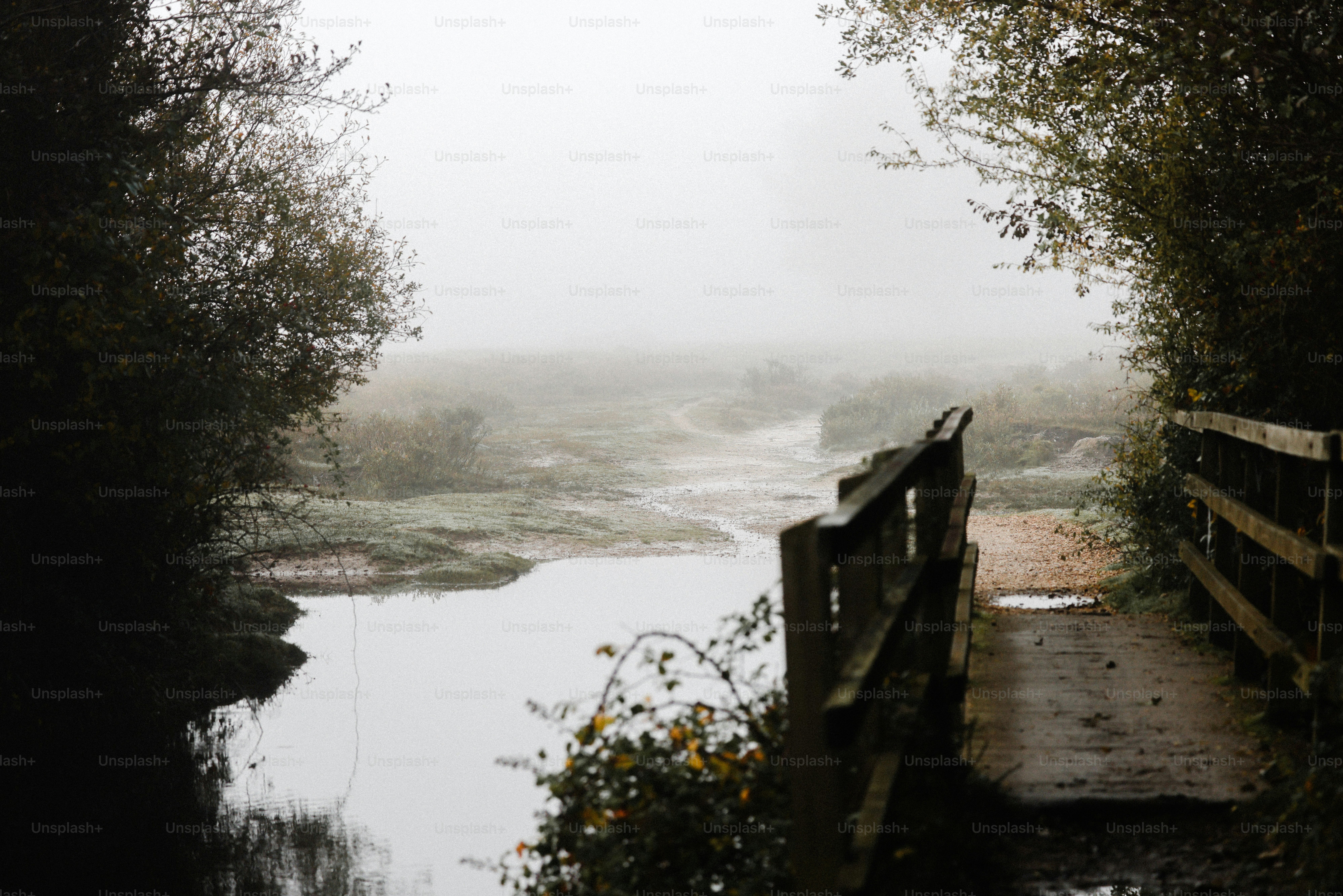 A wooden bridge over a body of water photo – Moody nature Image on Unsplash