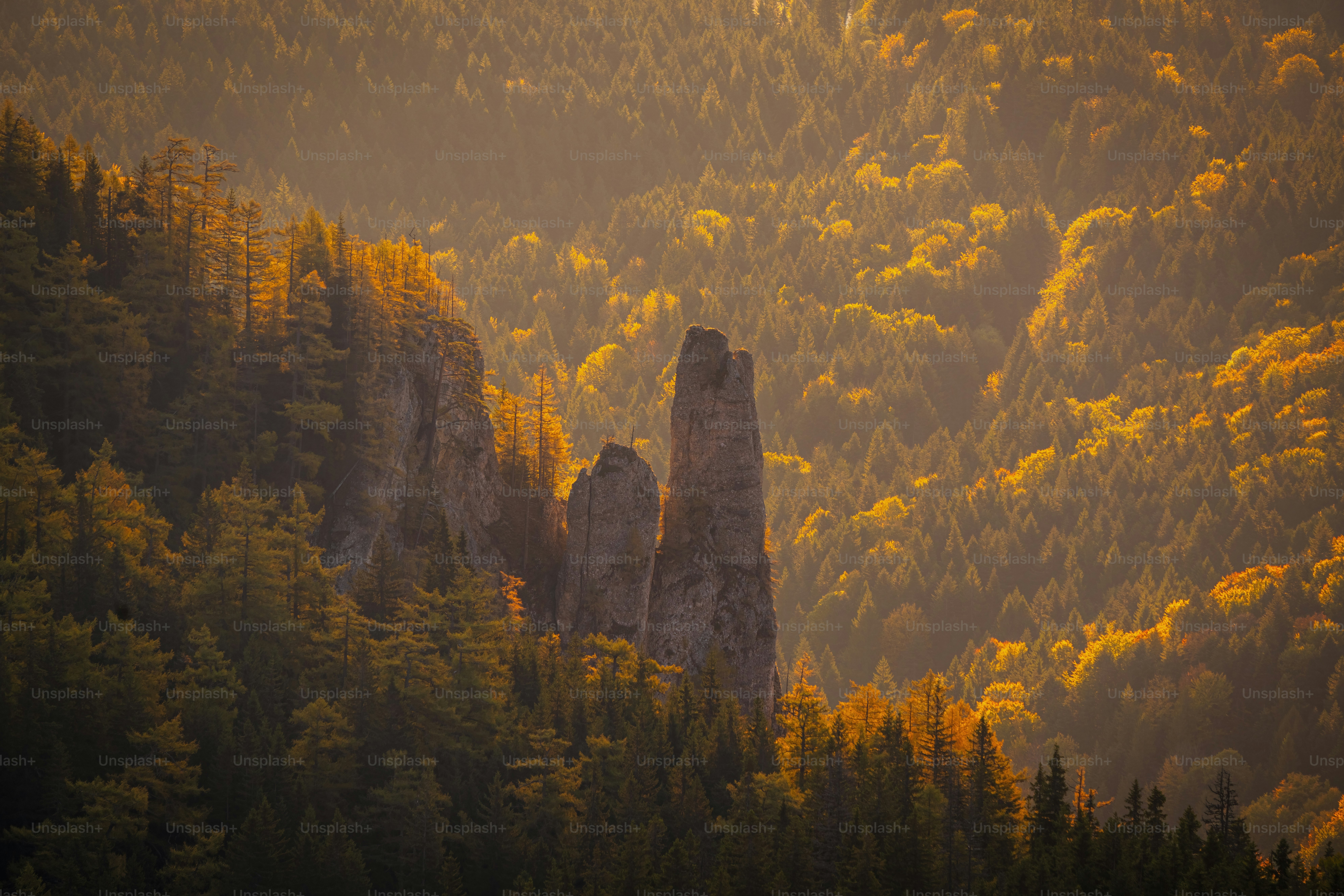 A view of a mountain range with trees in the foreground