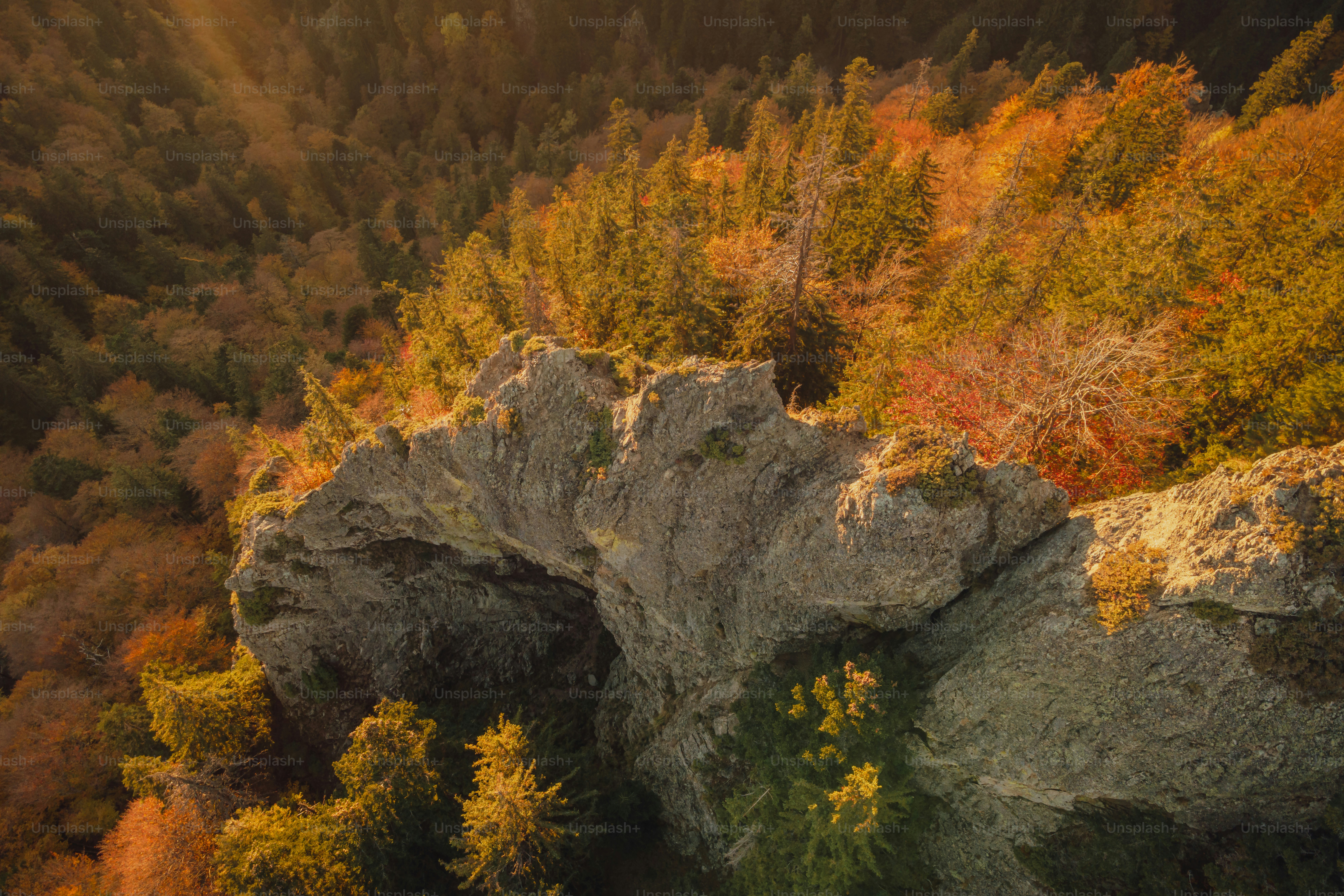 An aerial view of a rocky outcropping surrounded by trees photo ...