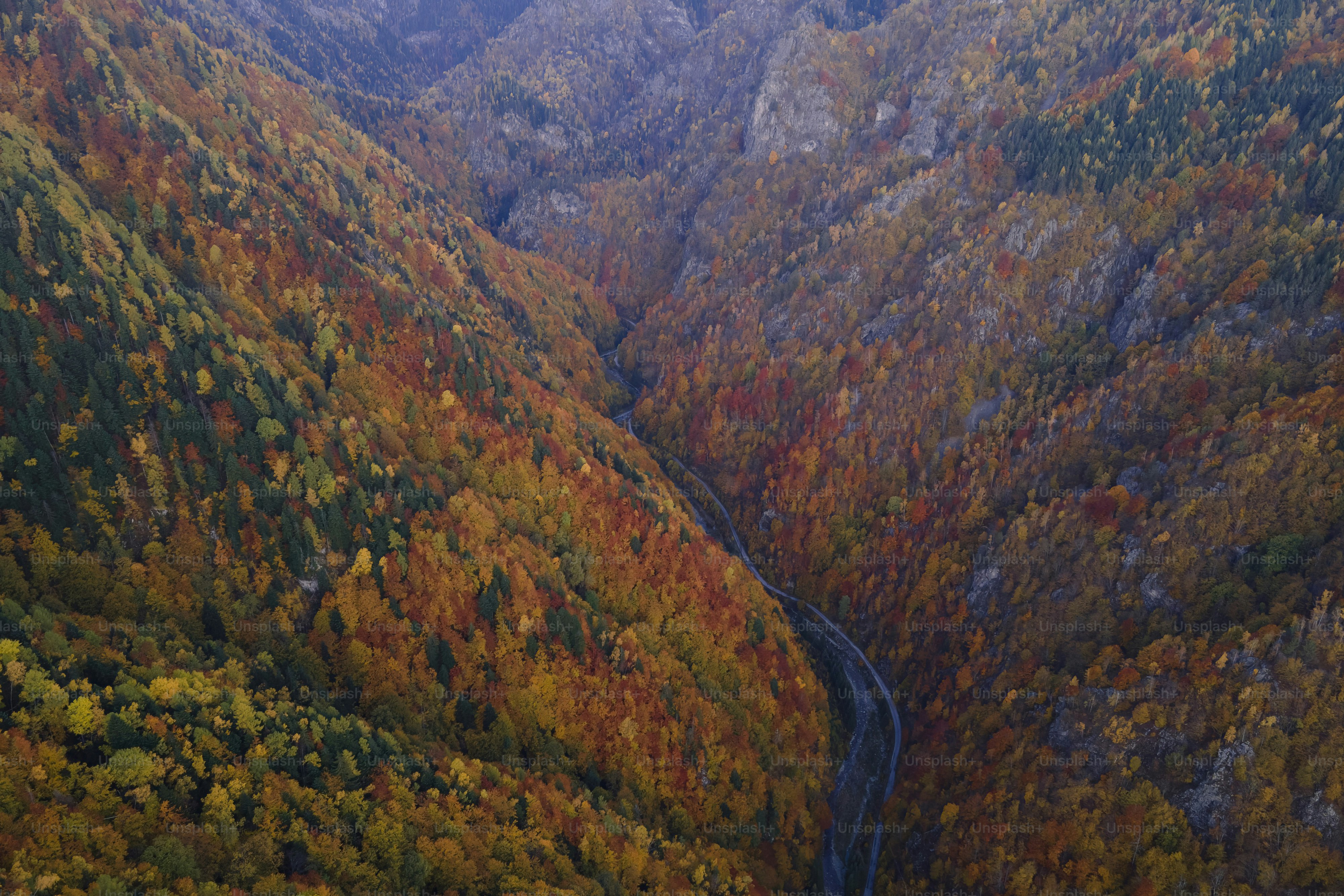 An aerial view of a winding road in the mountains photo – Gorge Image ...