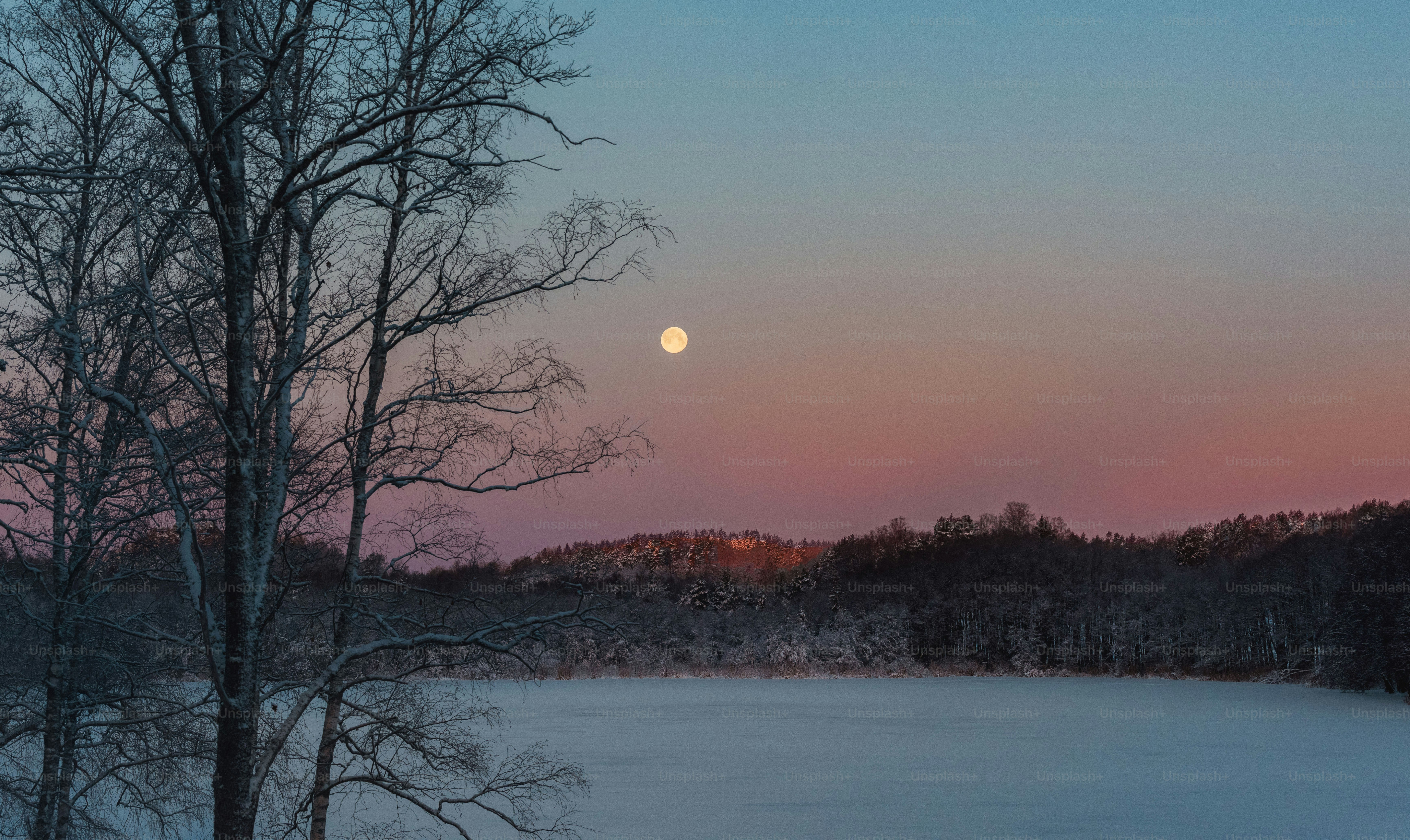 The sun is setting over a snowy field