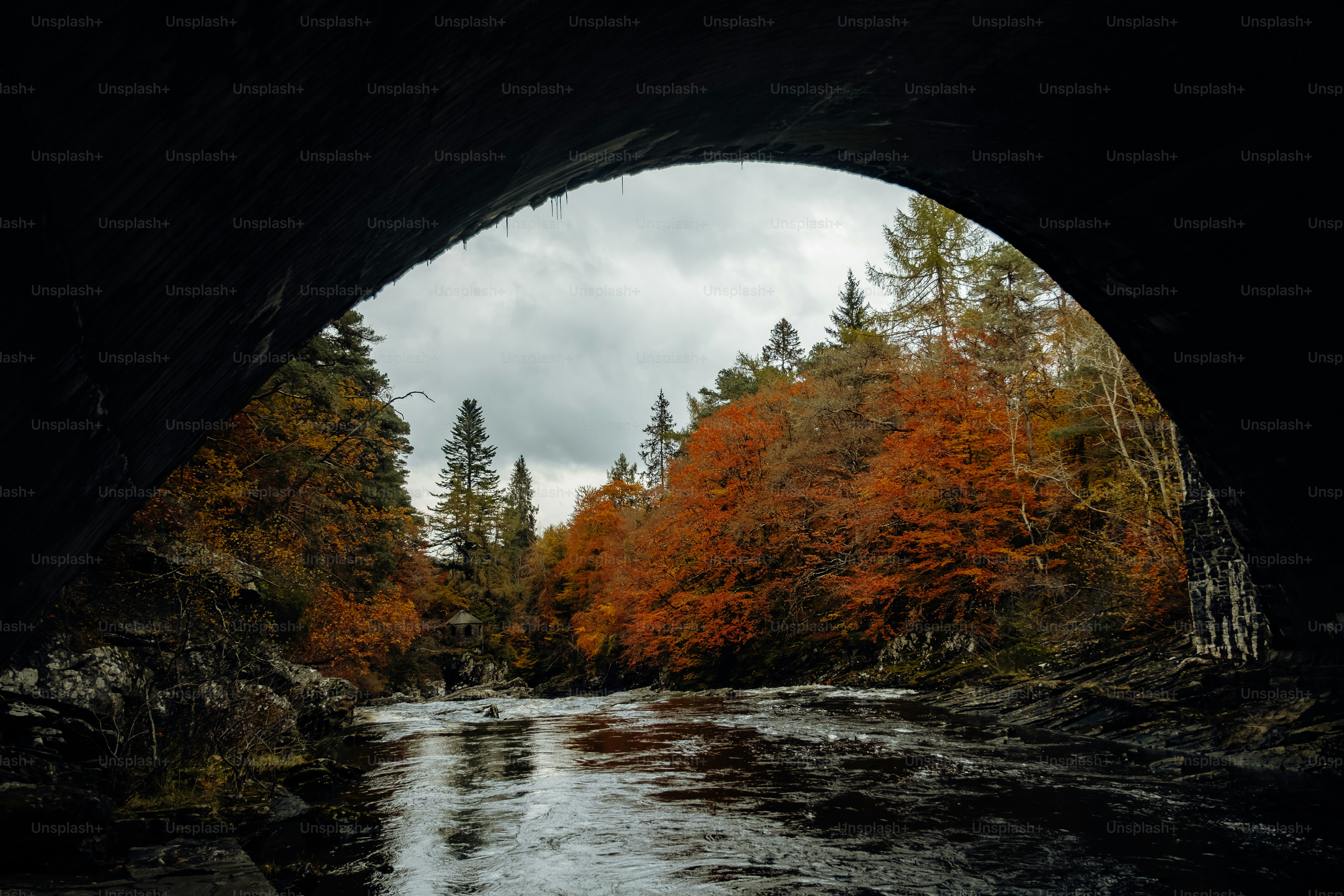 A river flowing under a bridge surrounded by trees