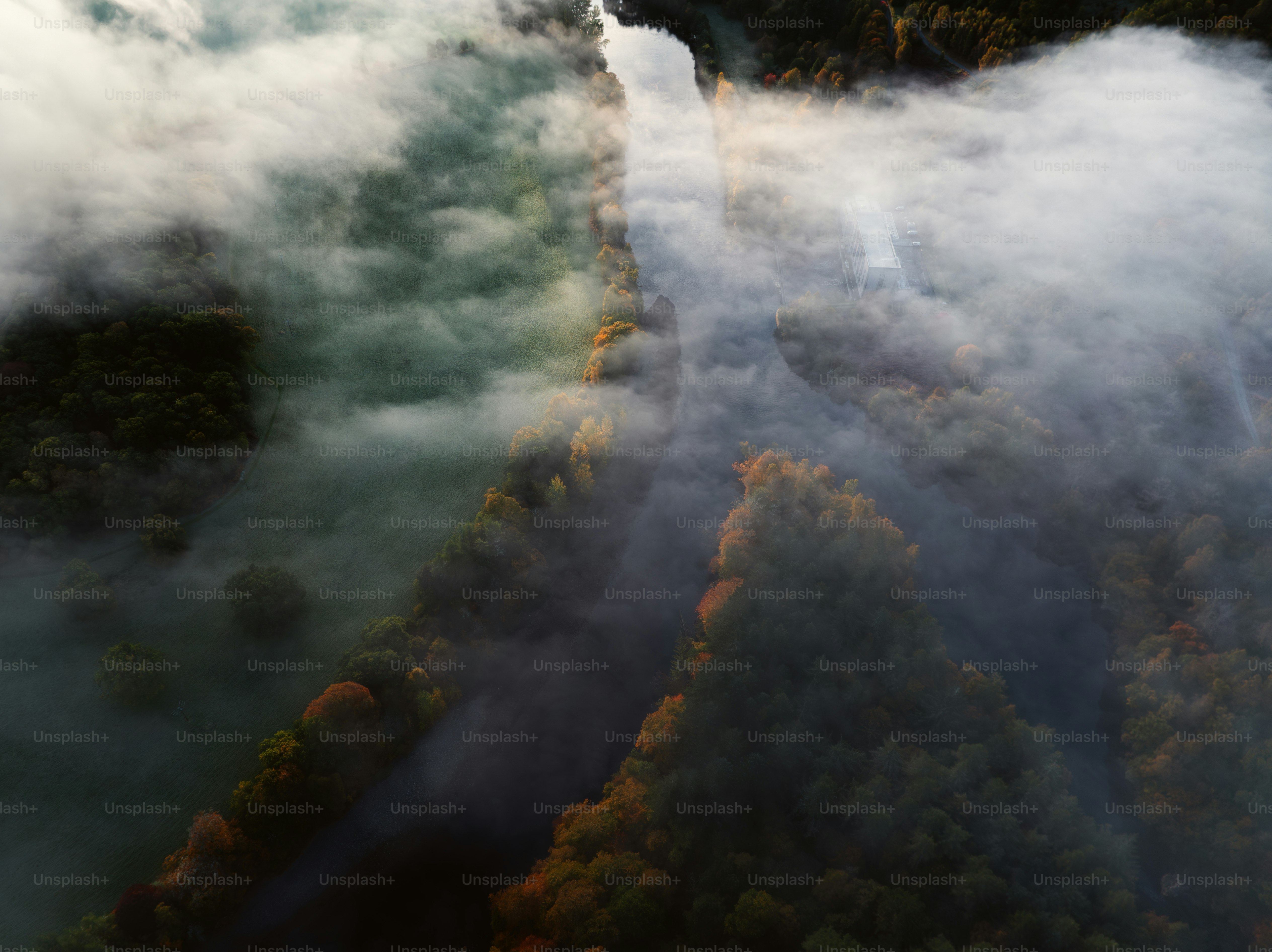 An aerial view of a river surrounded by trees