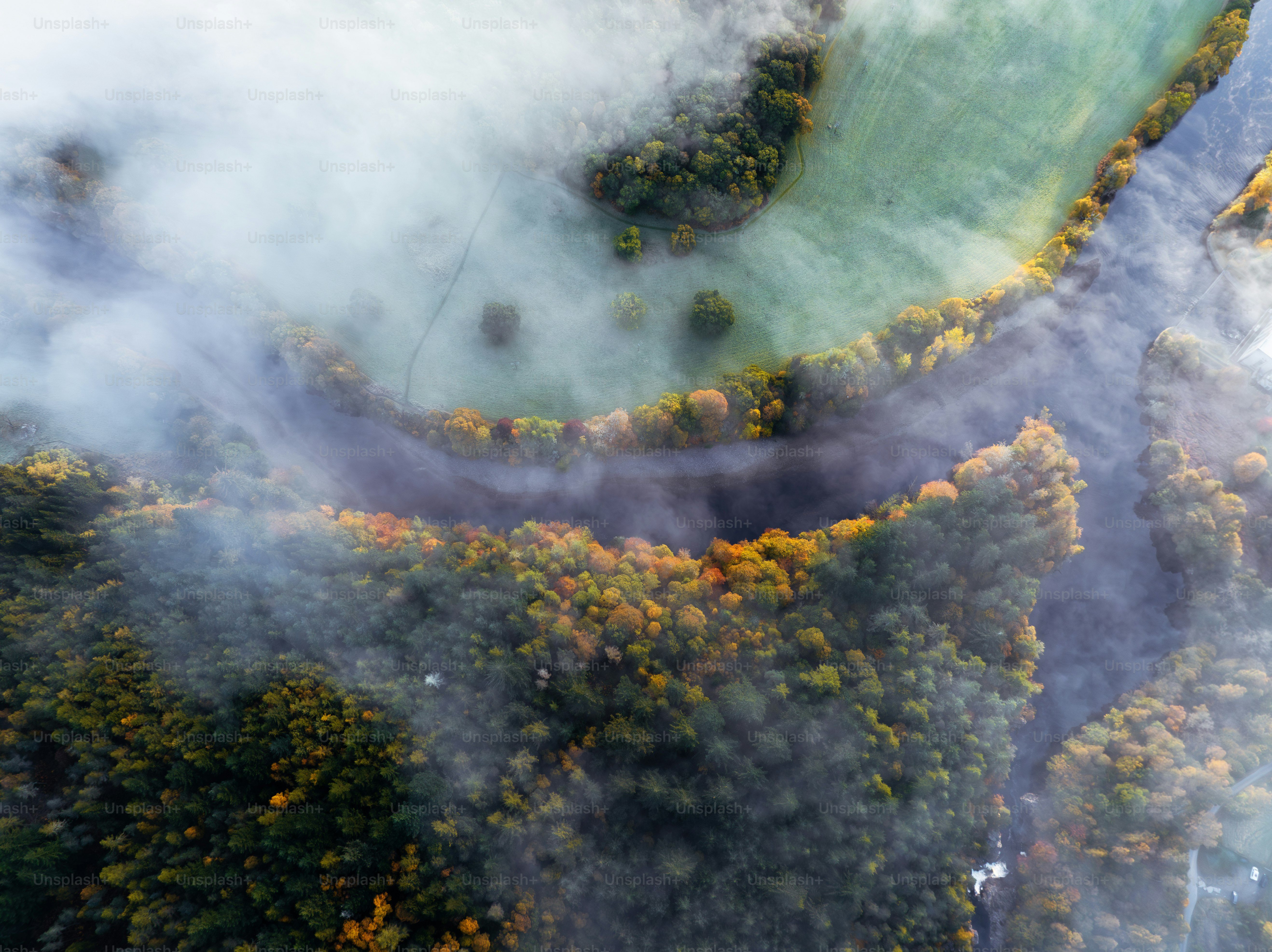 An aerial view of a river surrounded by trees photo – River Image on ...