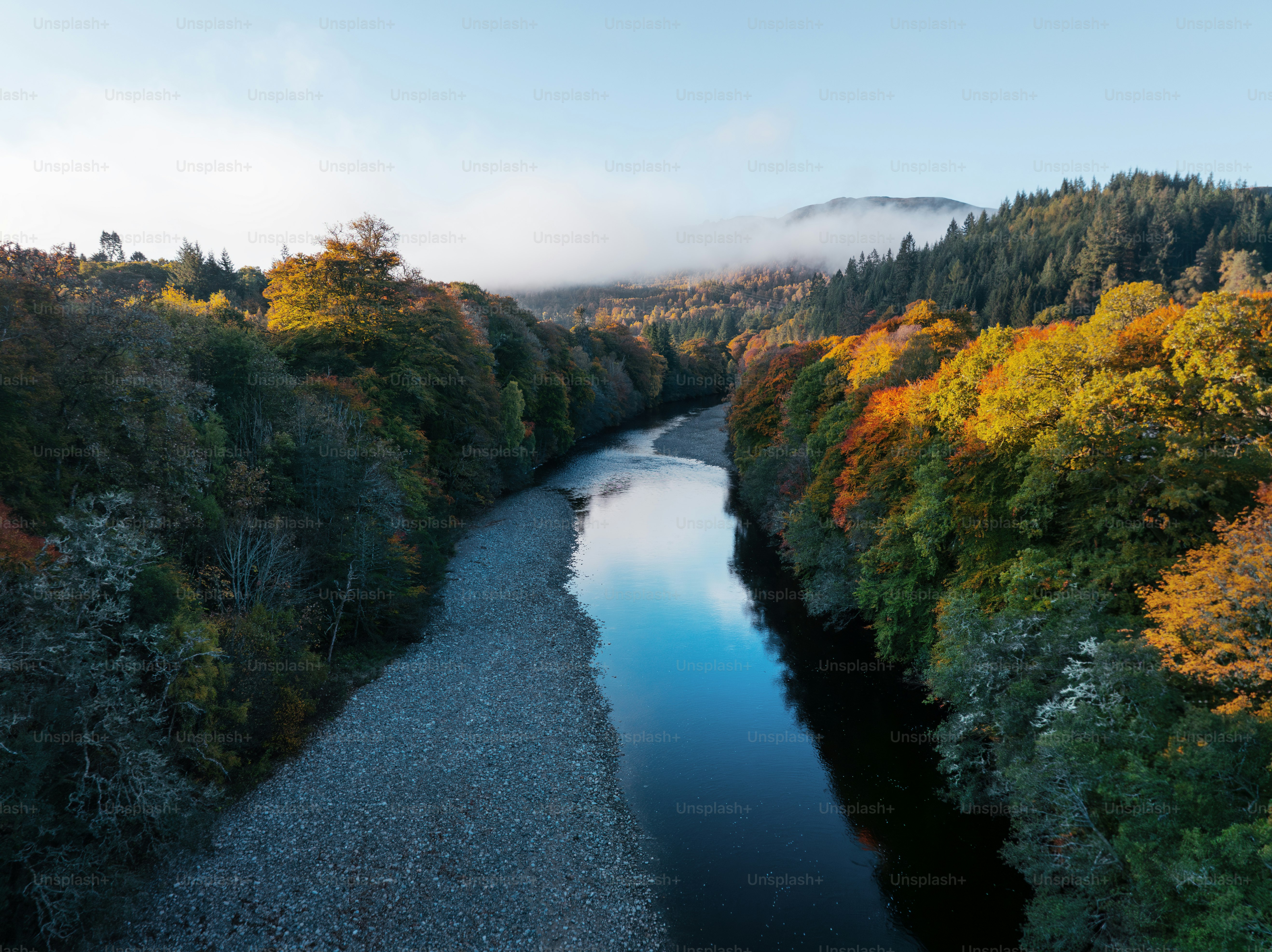 A river running through a lush green forest