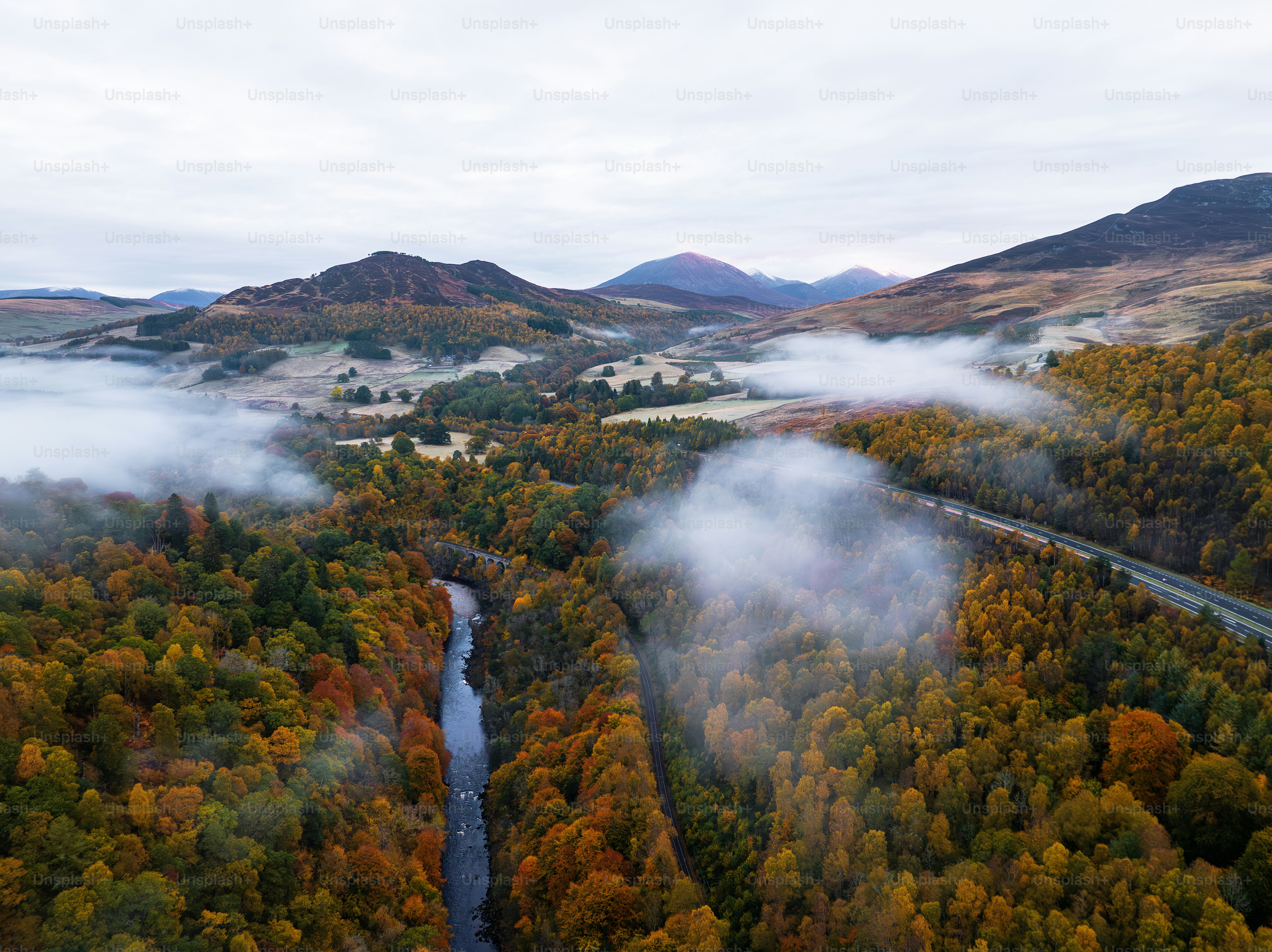 A river running through a lush green forest