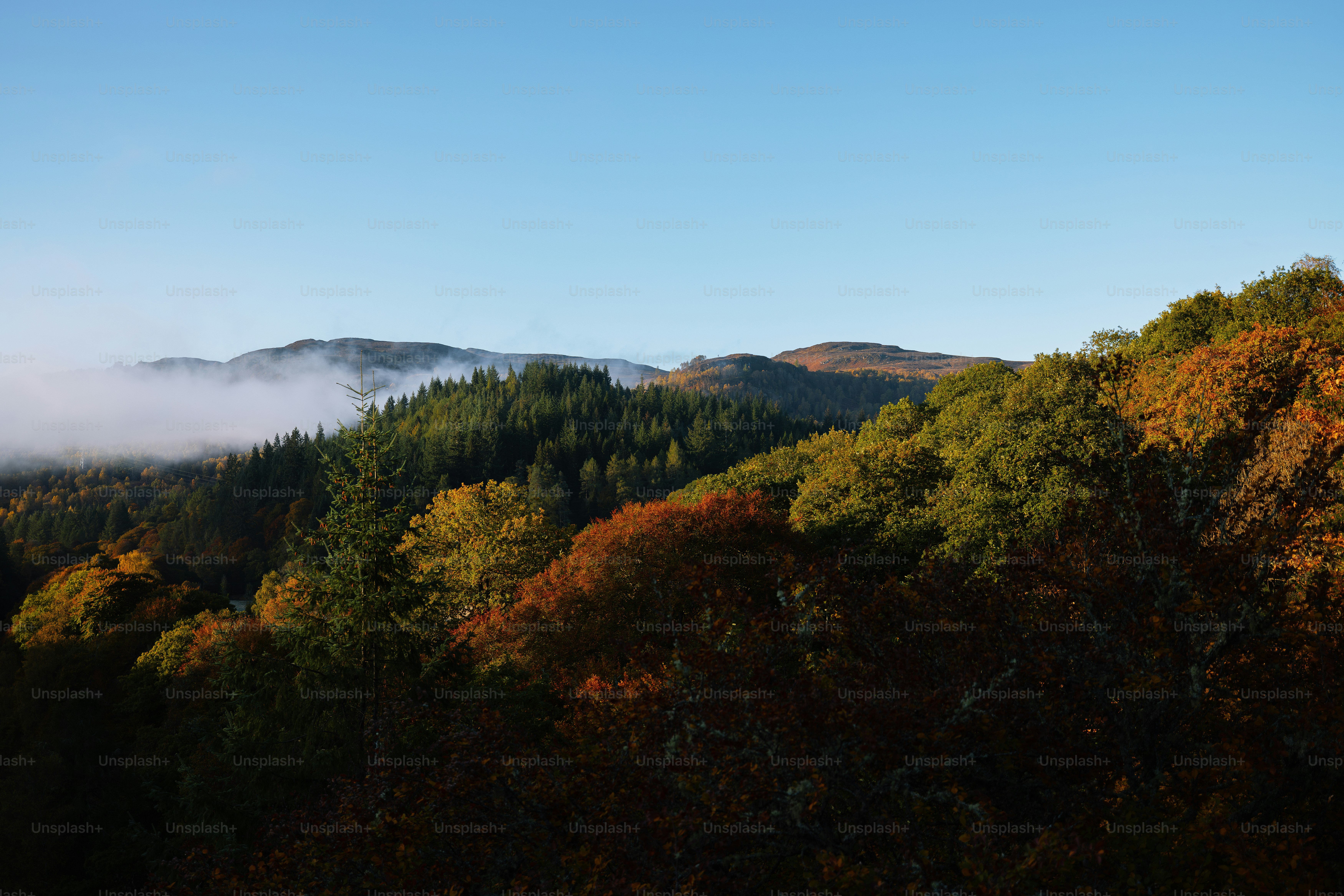 Une vue panoramique d’une montagne avec des arbres au premier plan