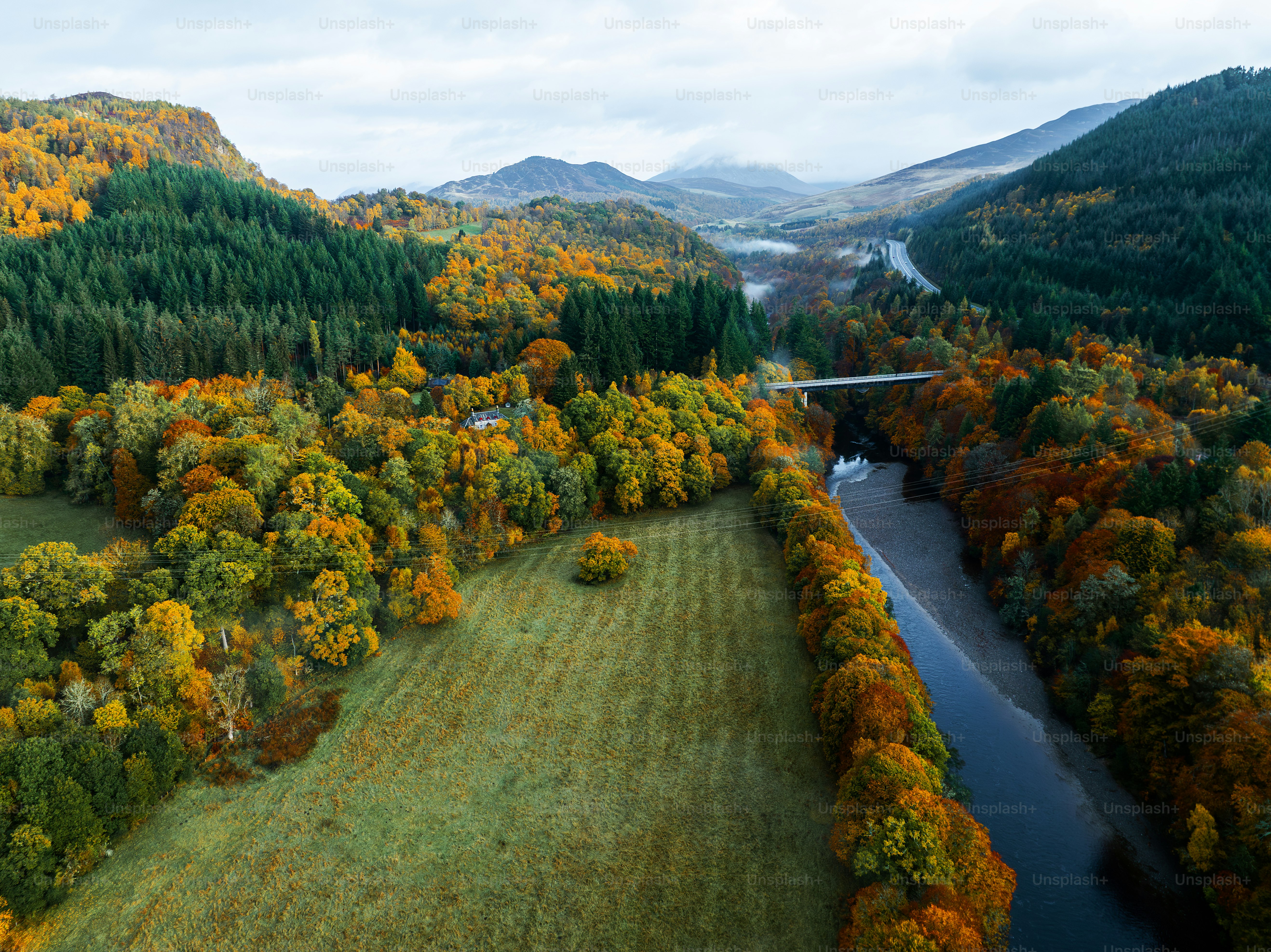 A river running through a lush green forest