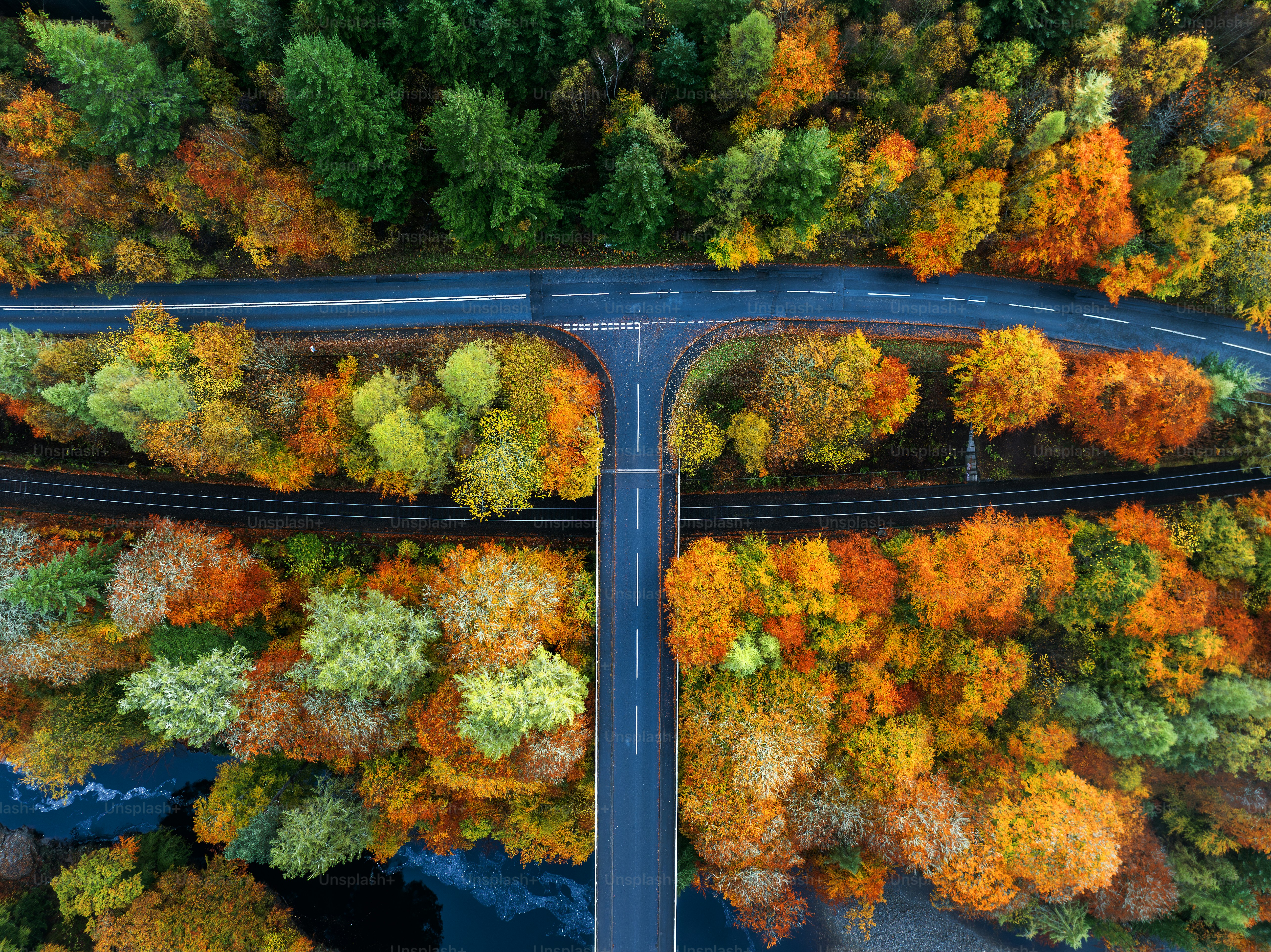 An aerial view of a road surrounded by trees