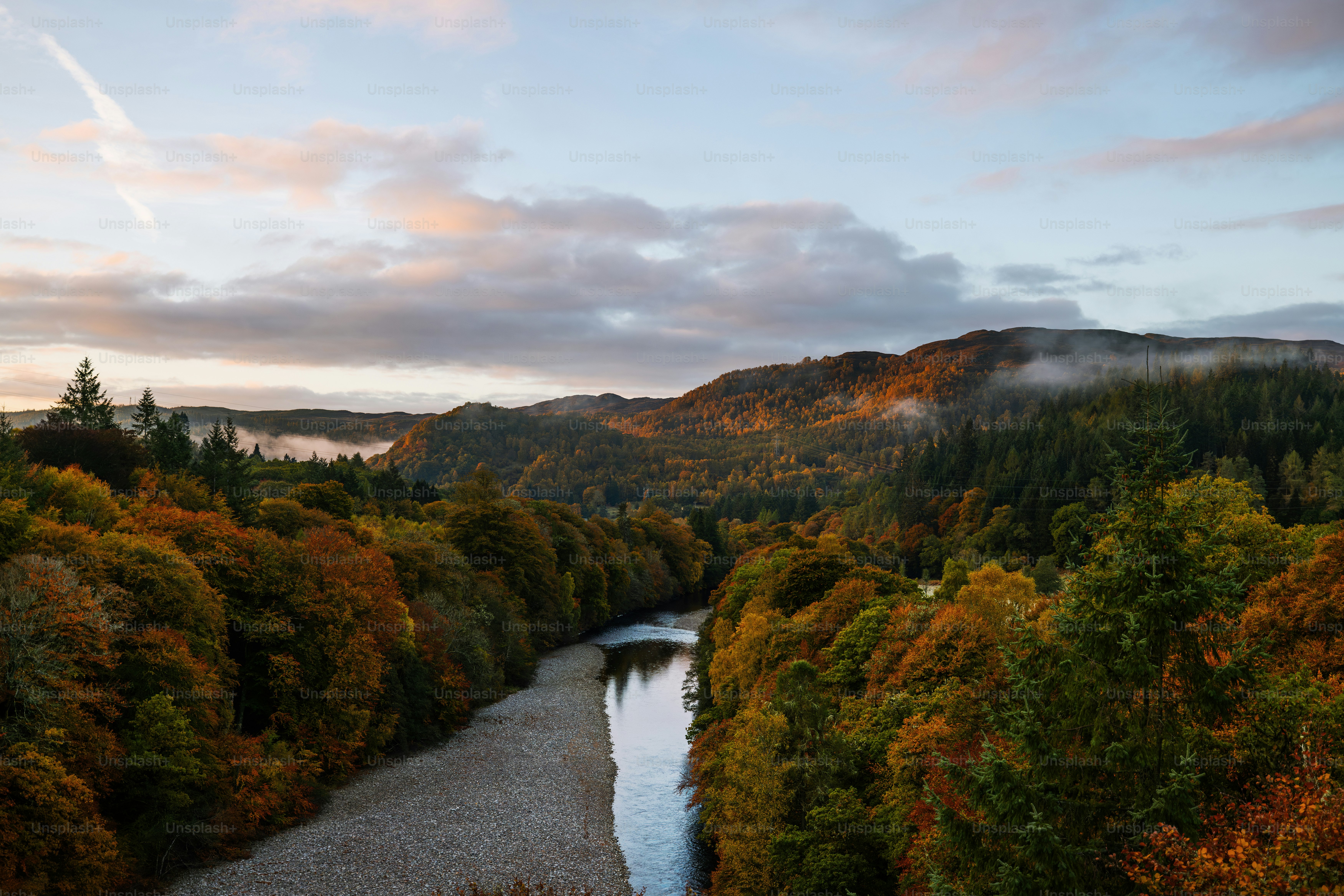 A river running through a lush green forest