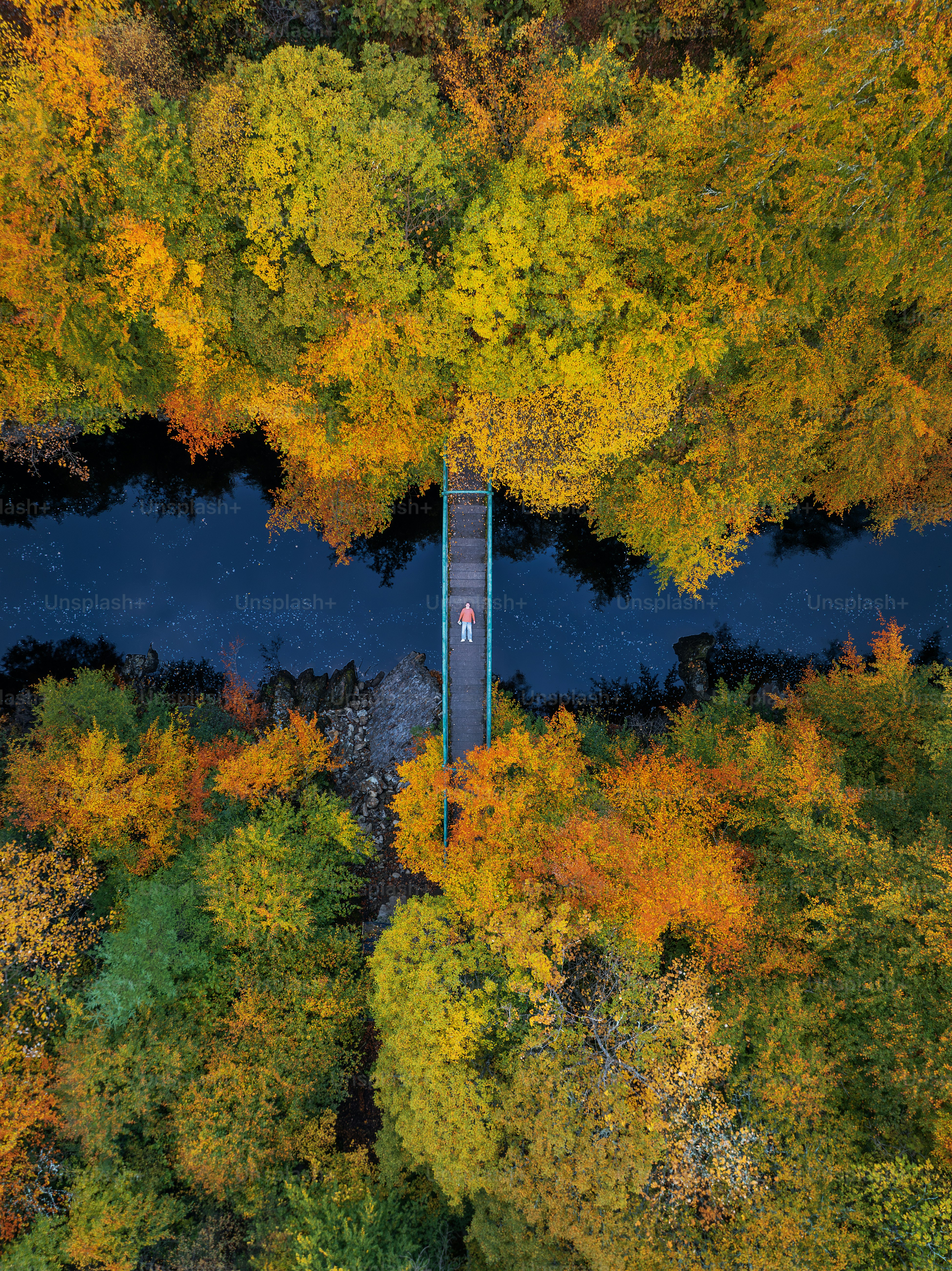 An aerial view of a river surrounded by trees photo – Background Image ...