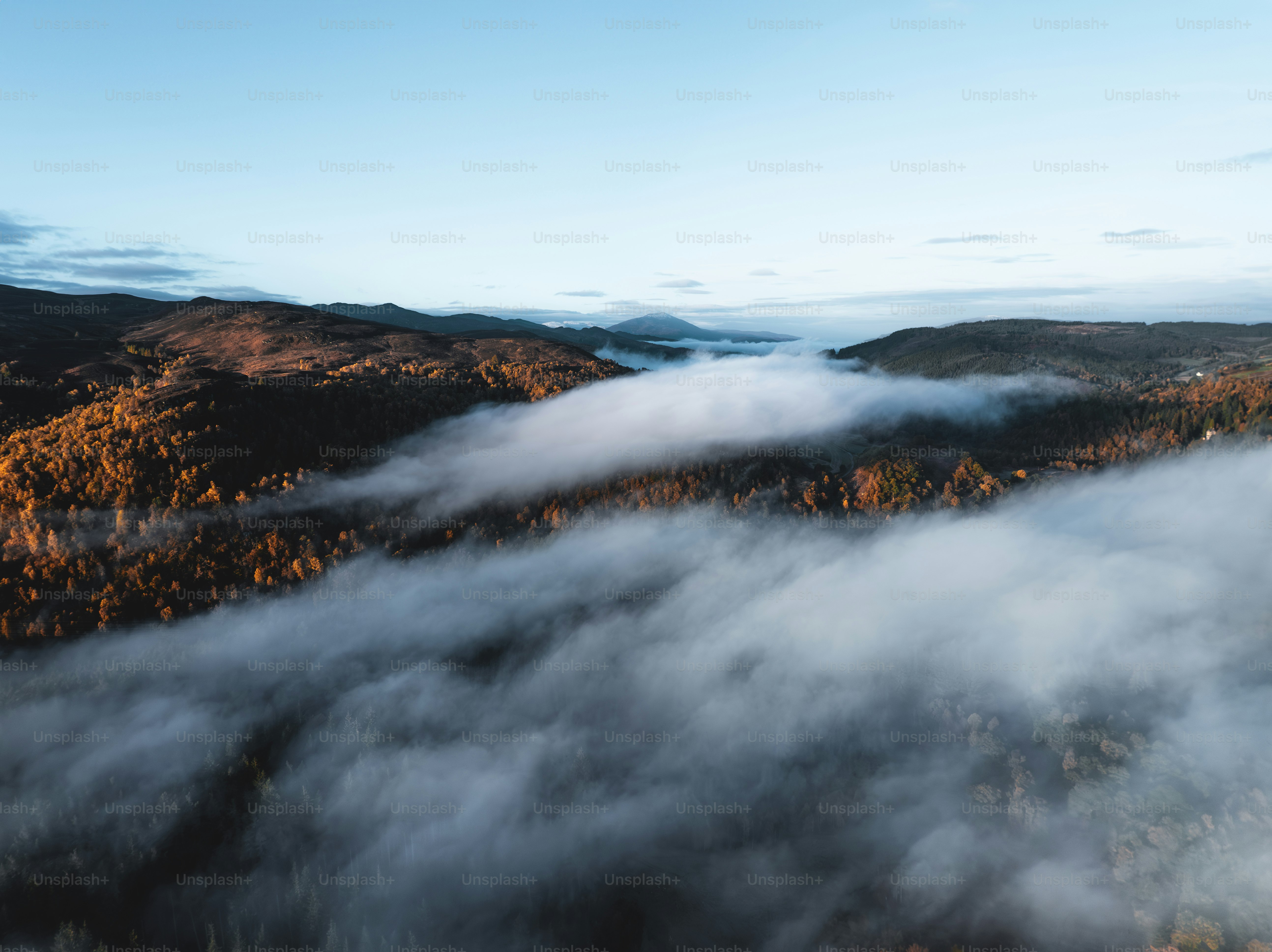 An aerial view of a forest covered in fog