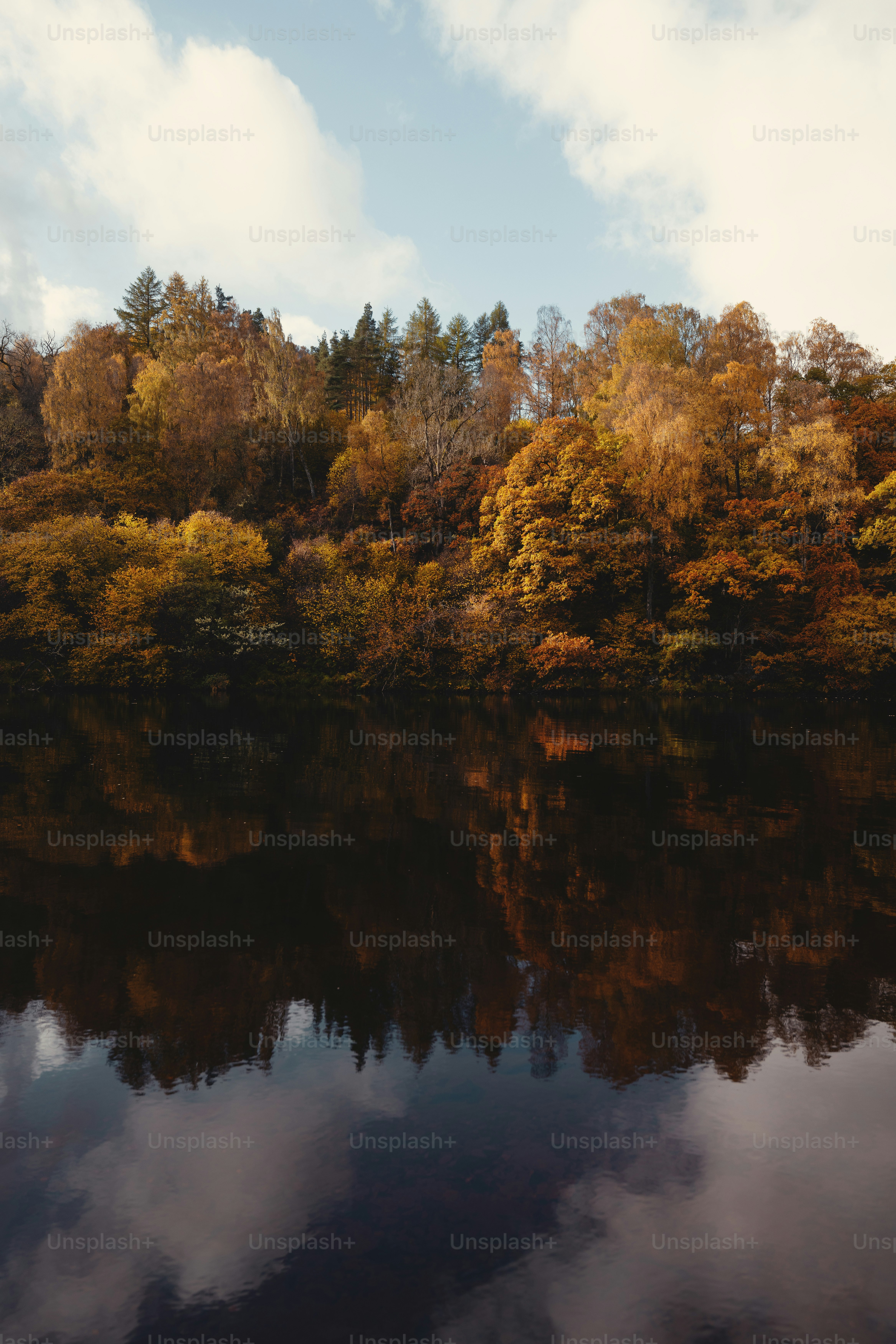 A body of water surrounded by trees and clouds