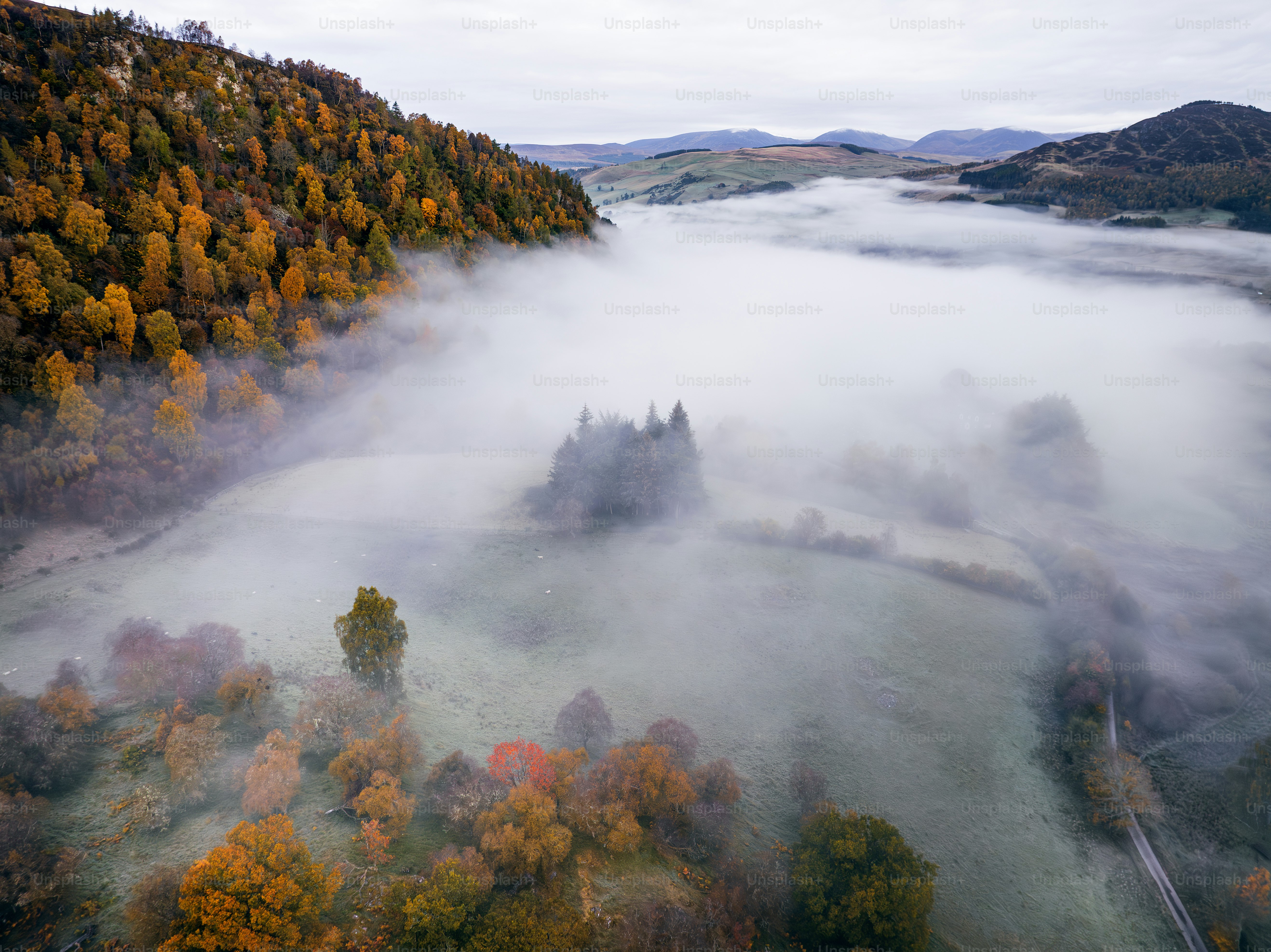 An aerial view of a river surrounded by trees