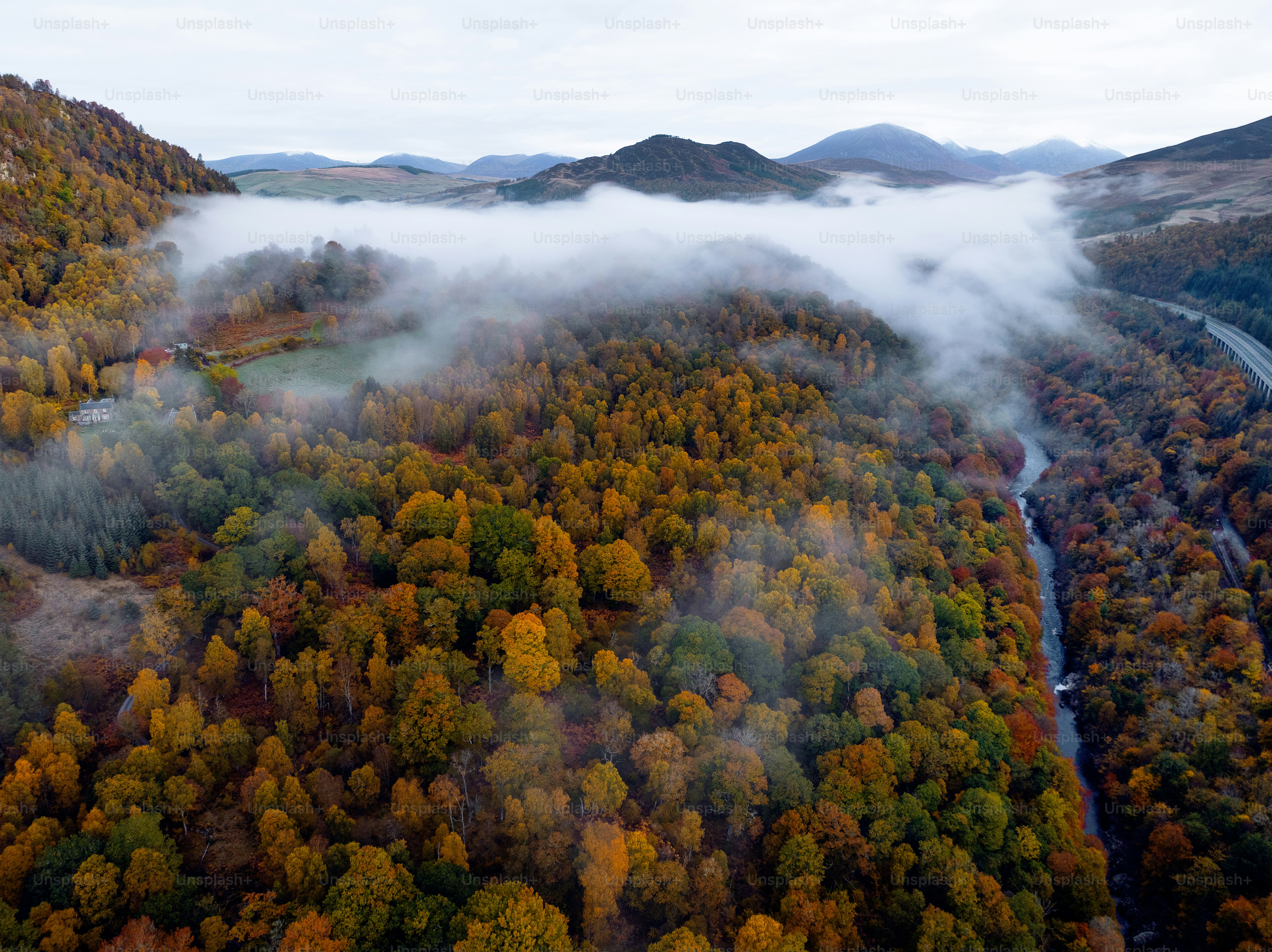 An aerial view of a river surrounded by trees