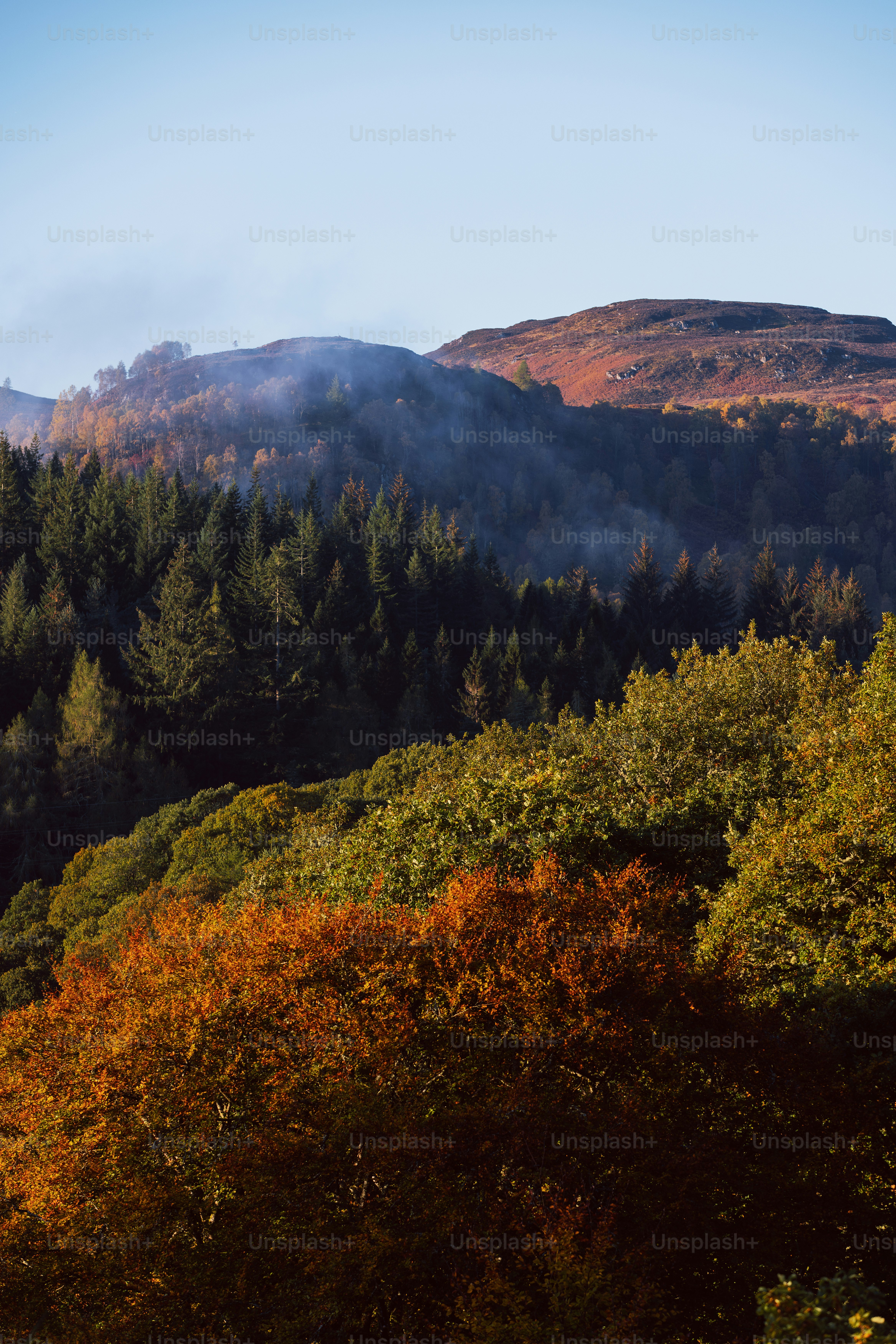 A view of a mountain range with trees in the foreground