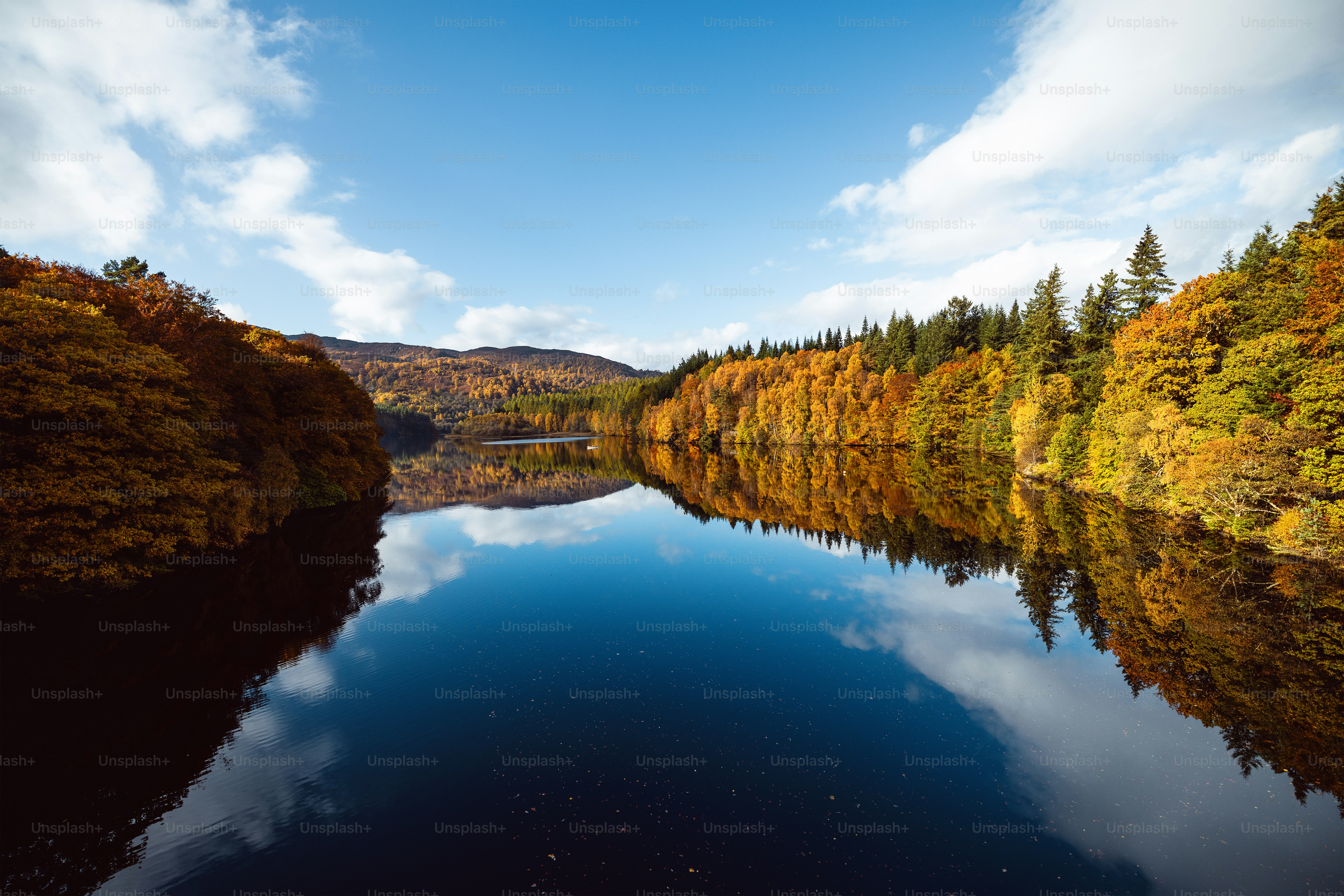 Uno specchio d'acqua circondato da un bosco