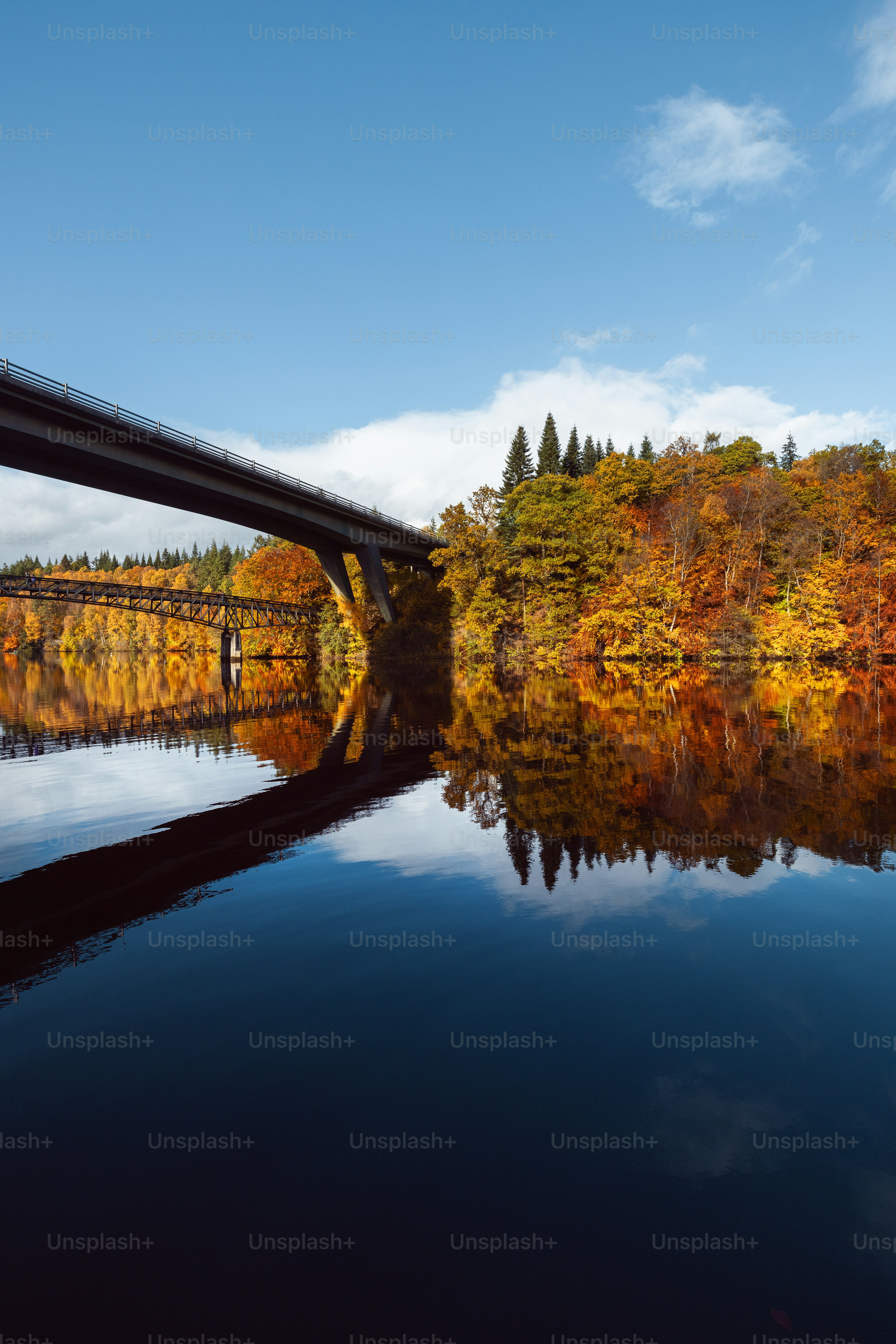 A bridge over a body of water surrounded by trees photo – Background ...
