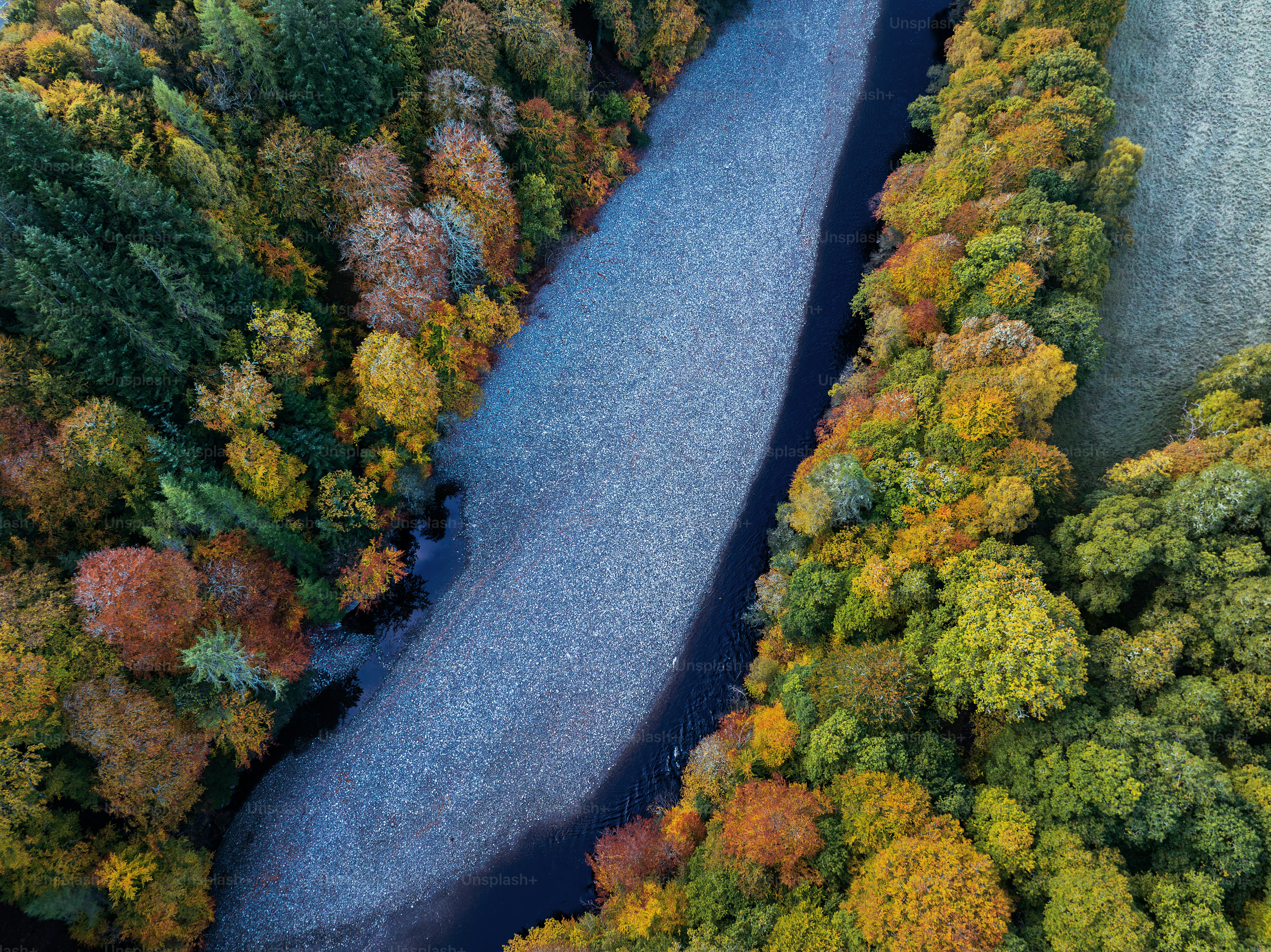 A river running through a lush green forest