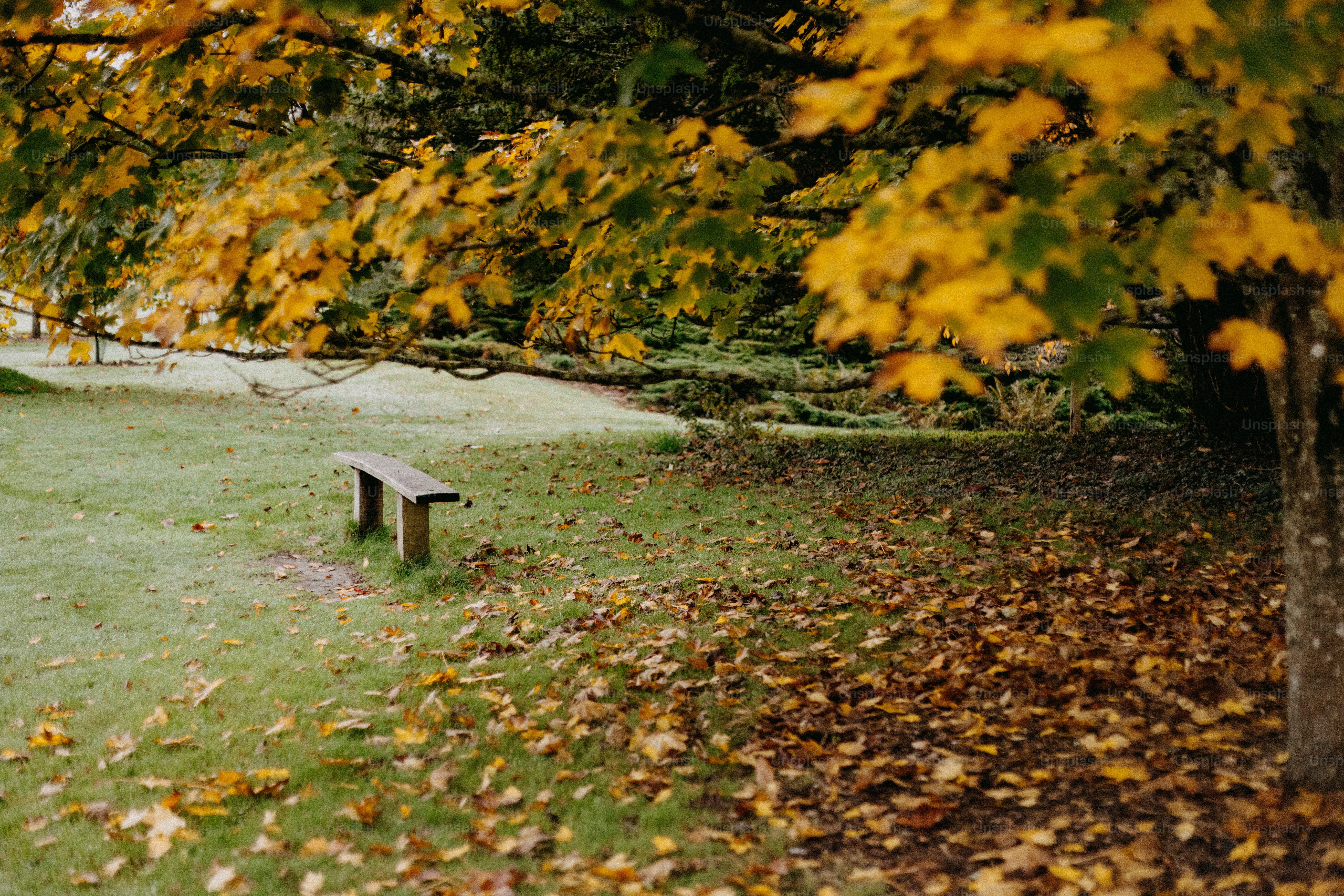 A park bench sitting in the middle of a field