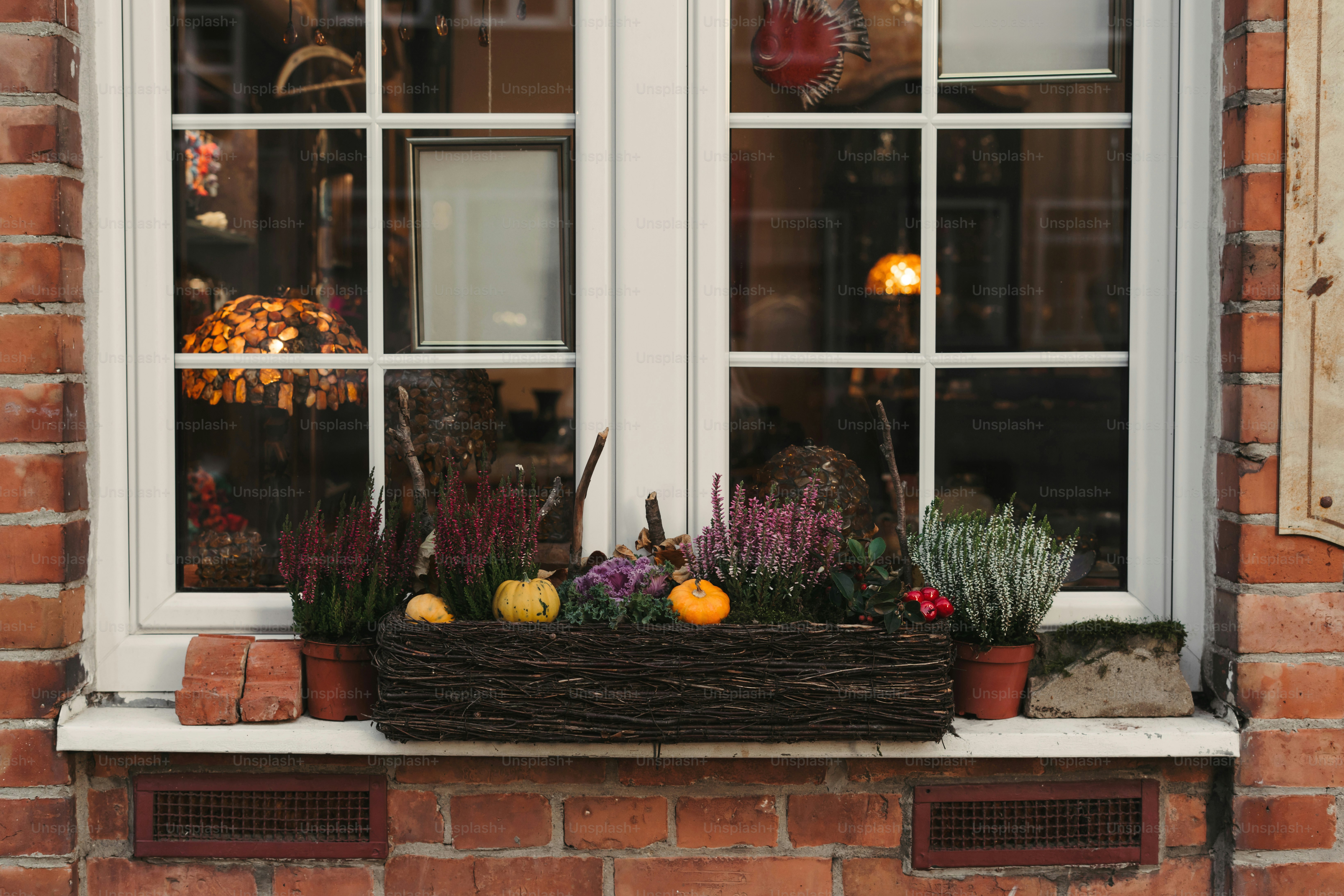 A window with a basket of flowers in it