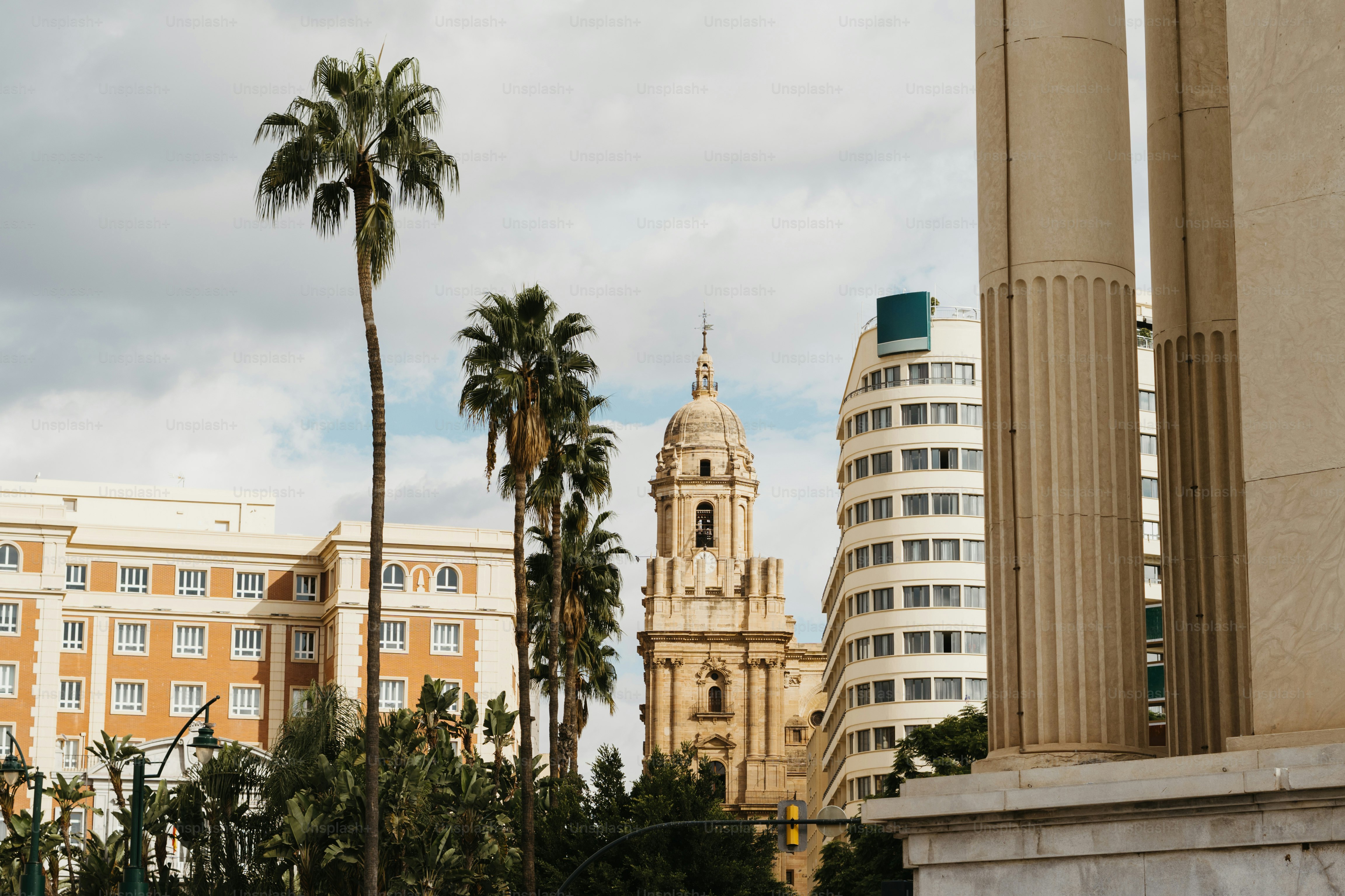 A clock tower towering over a city with palm trees