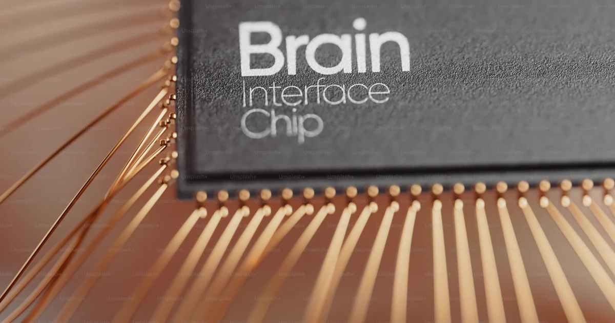 A close up of a micro processor chip photo – Brain Image on Unsplash