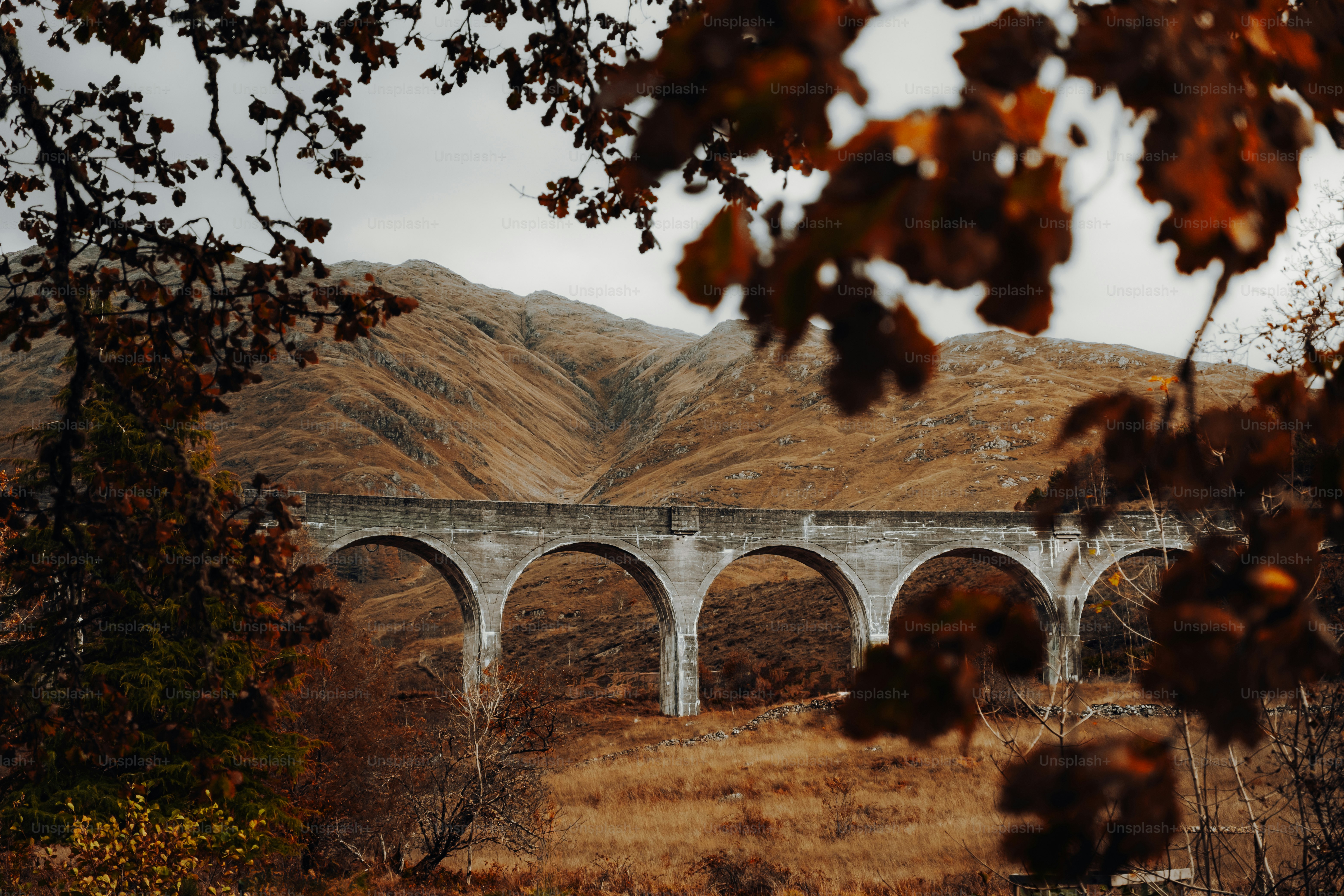 A bridge that is in the middle of a field