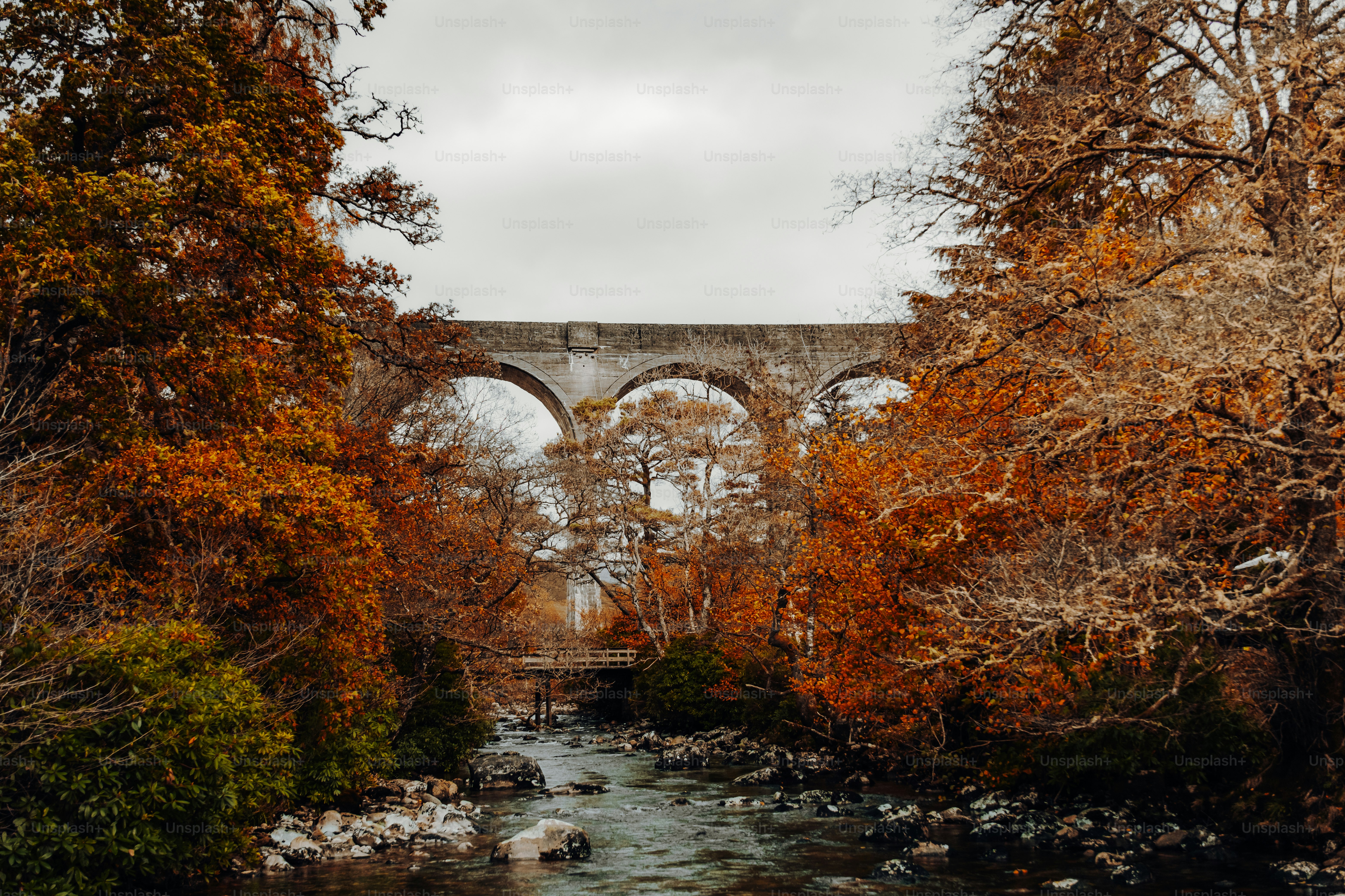 A river flowing under a bridge surrounded by trees