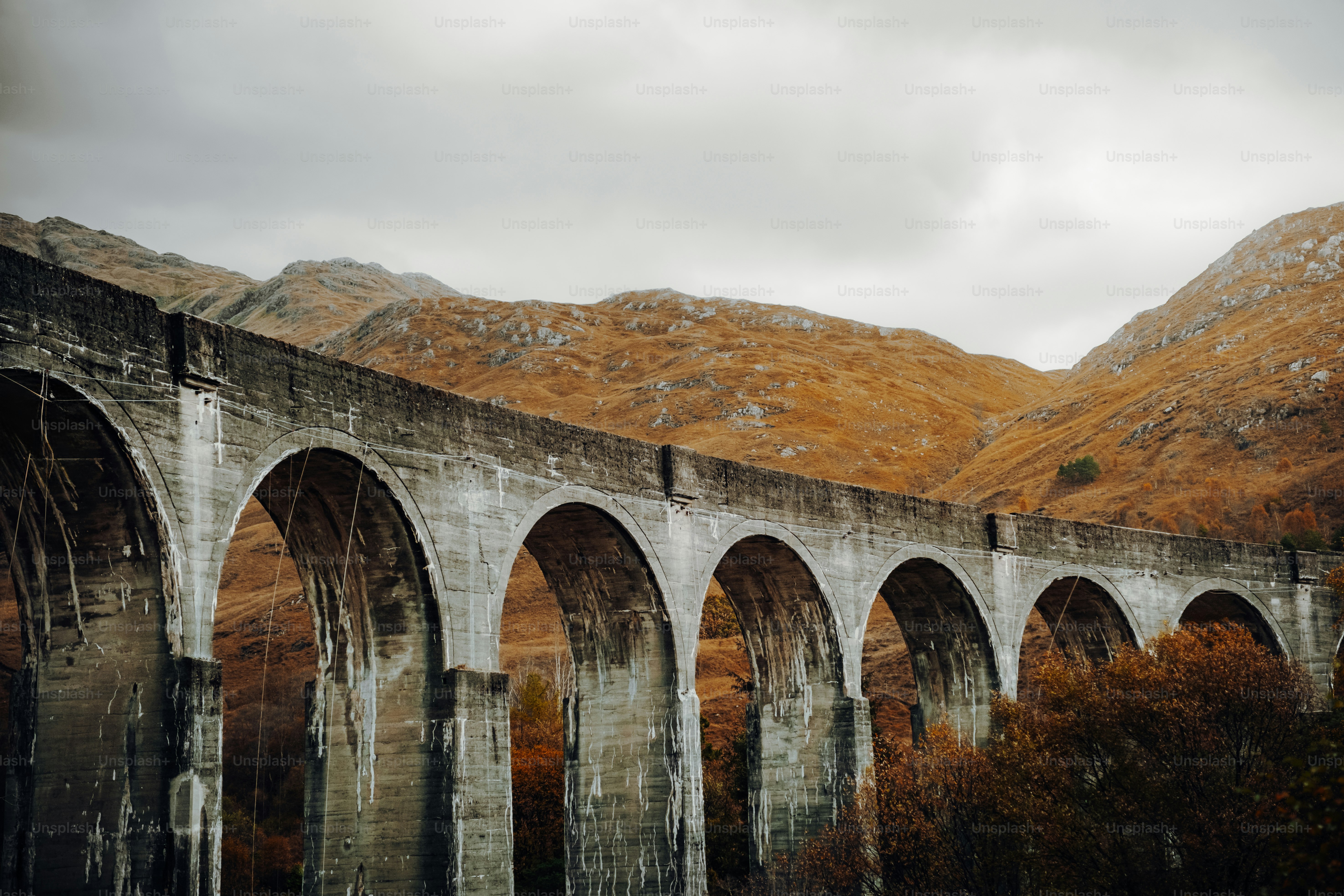 들판 한가운데에 아치가 있는 오래된 다리