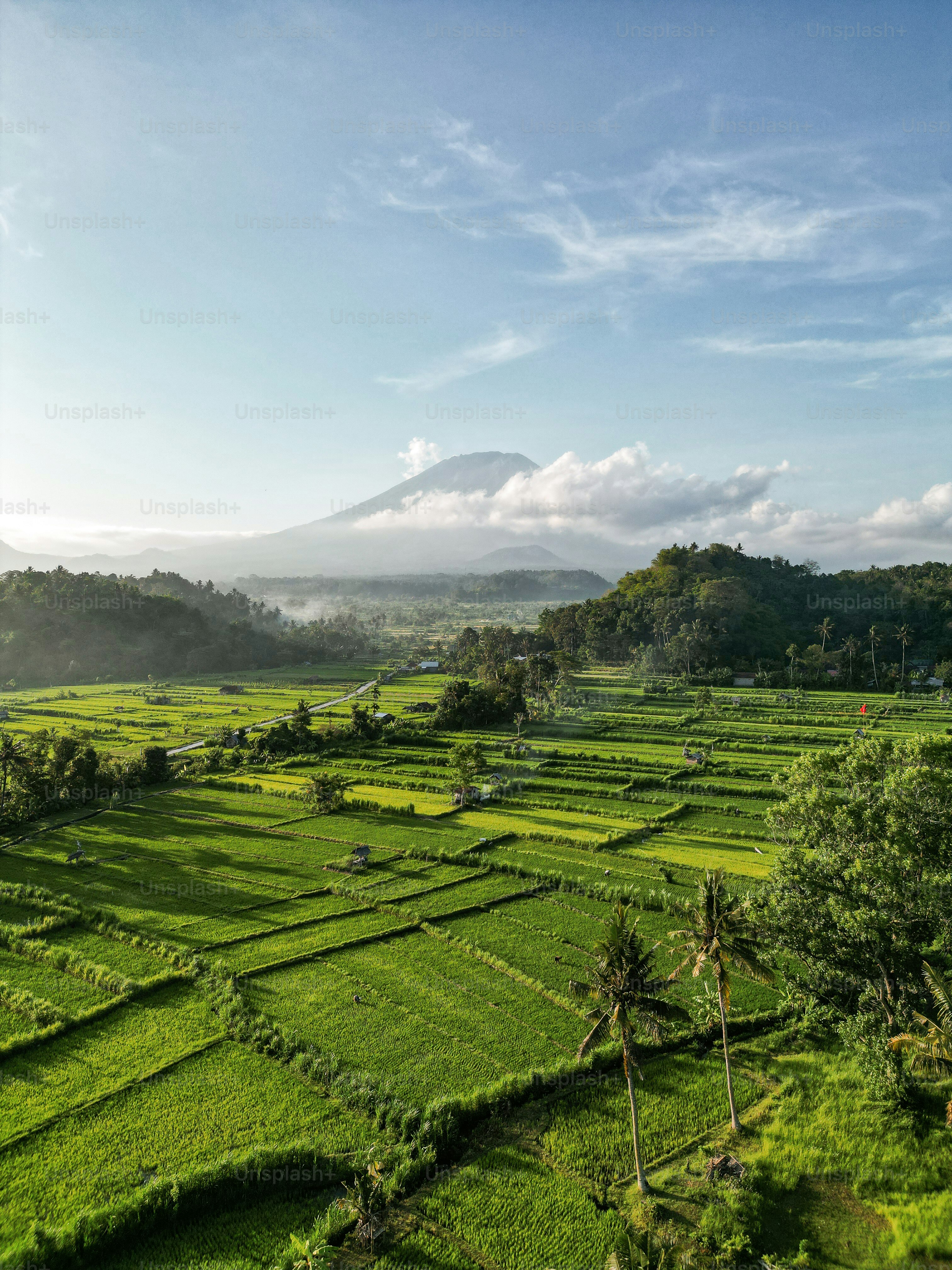A lush green field with trees and mountains in the background