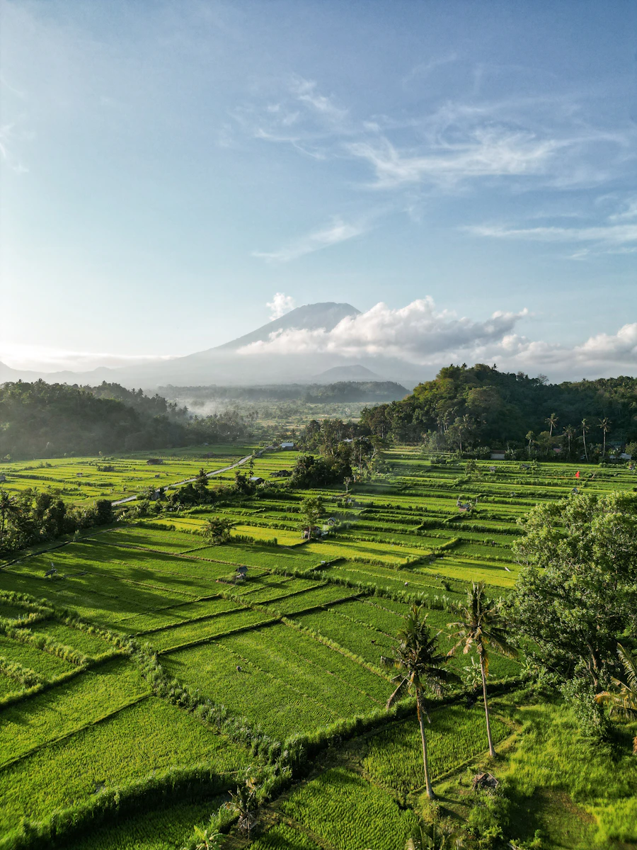 Jatiluwih Rice Terraces
