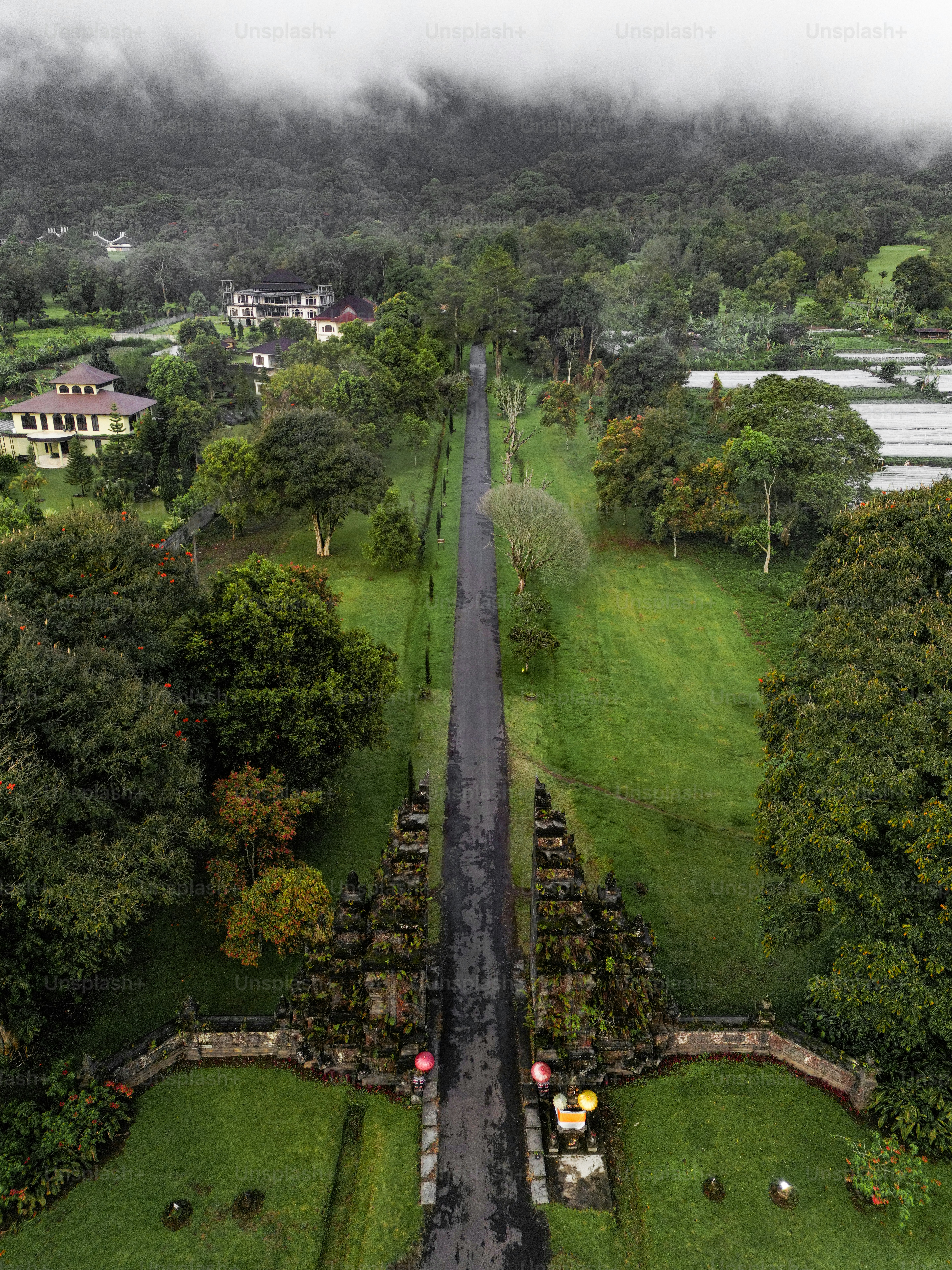 An aerial view of a road surrounded by trees