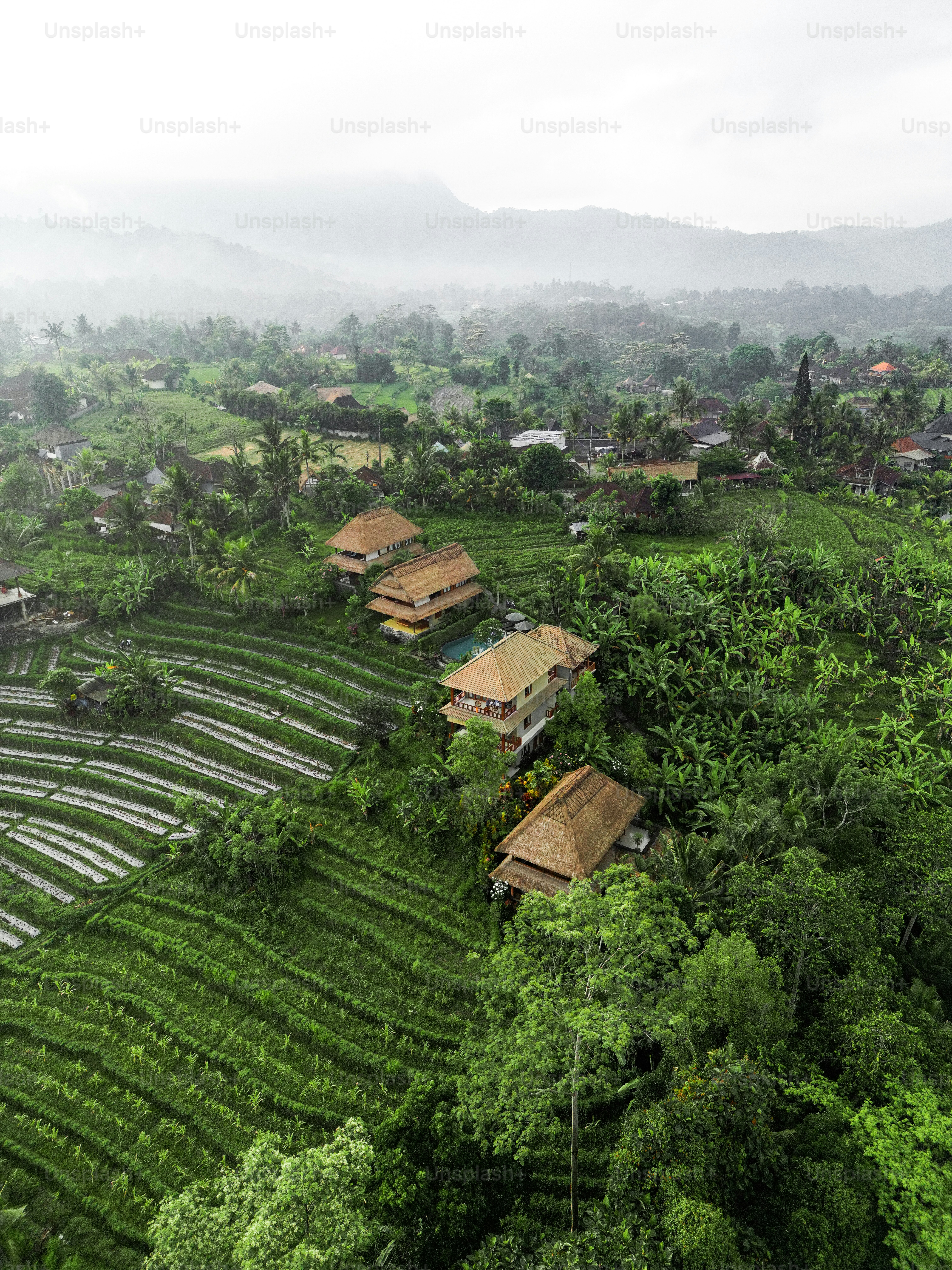 A lush green hillside covered in lots of trees